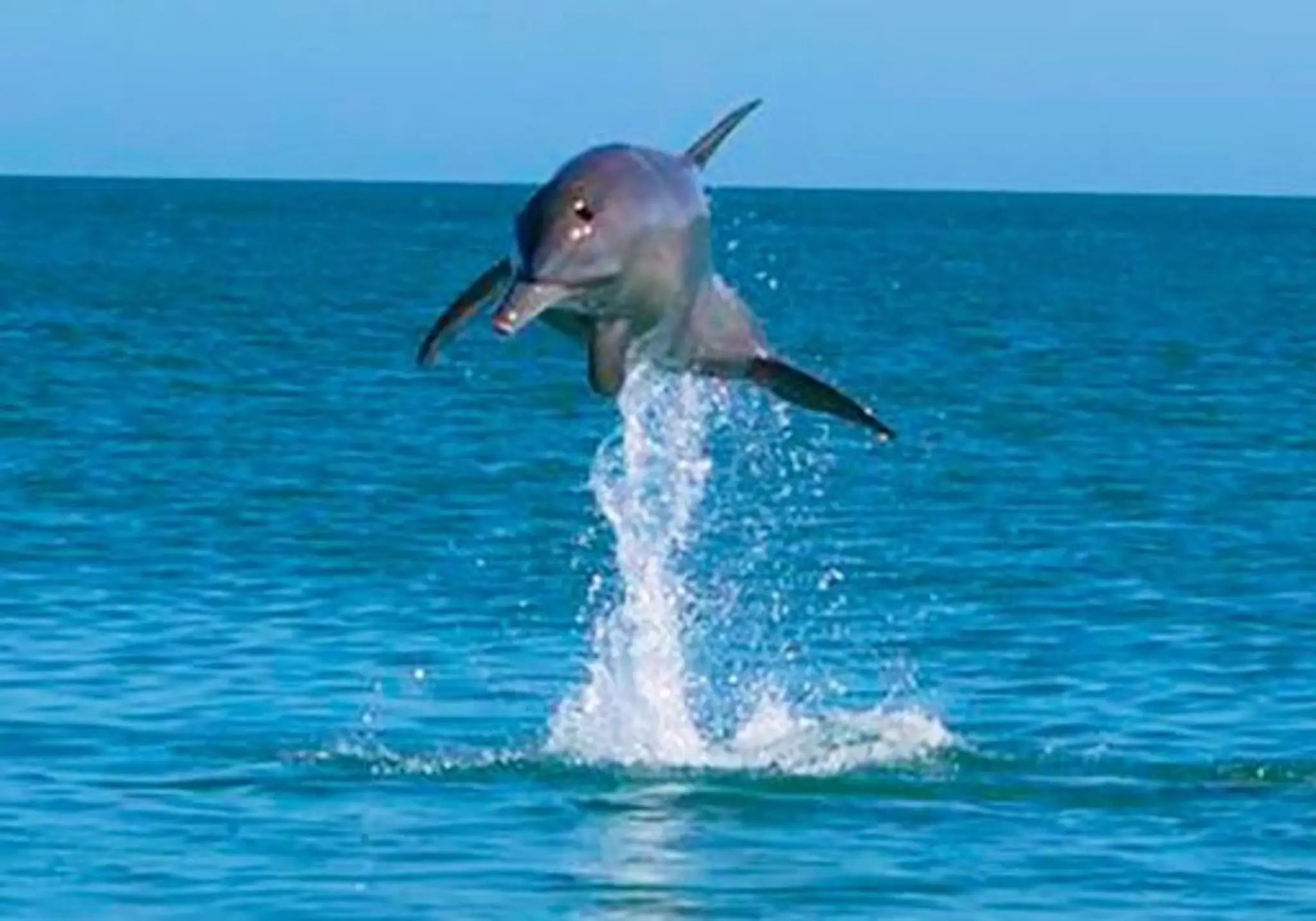 Oceanside Village Denham Shark Bay