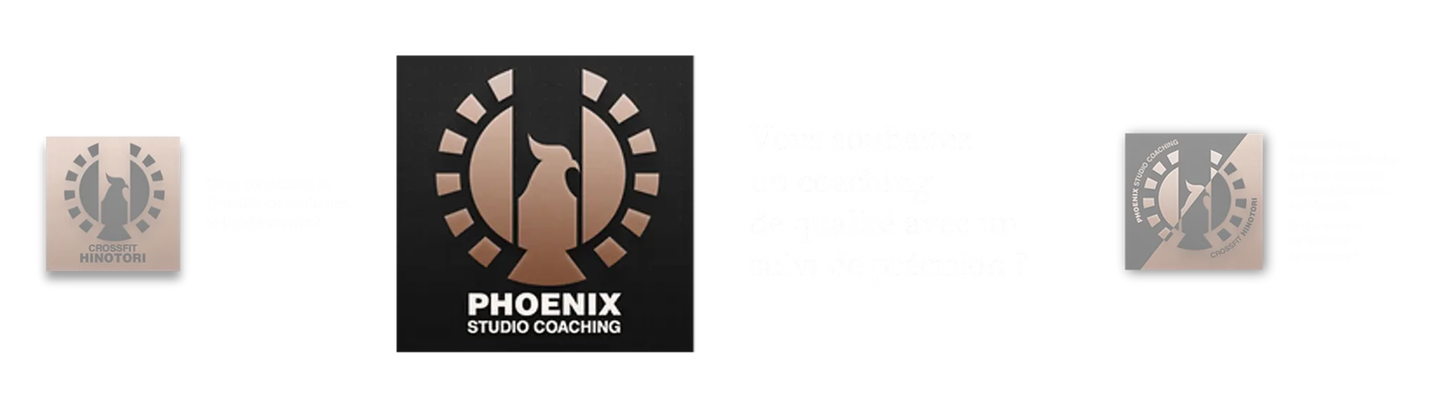 Crossfit Hinotori / Phoenix Coaching