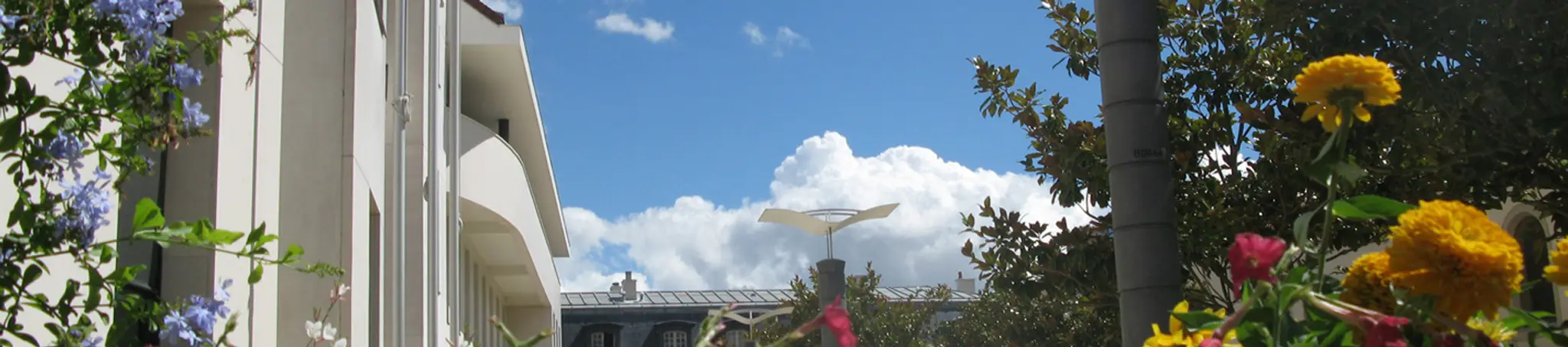 Judo Club Champs sur Marne