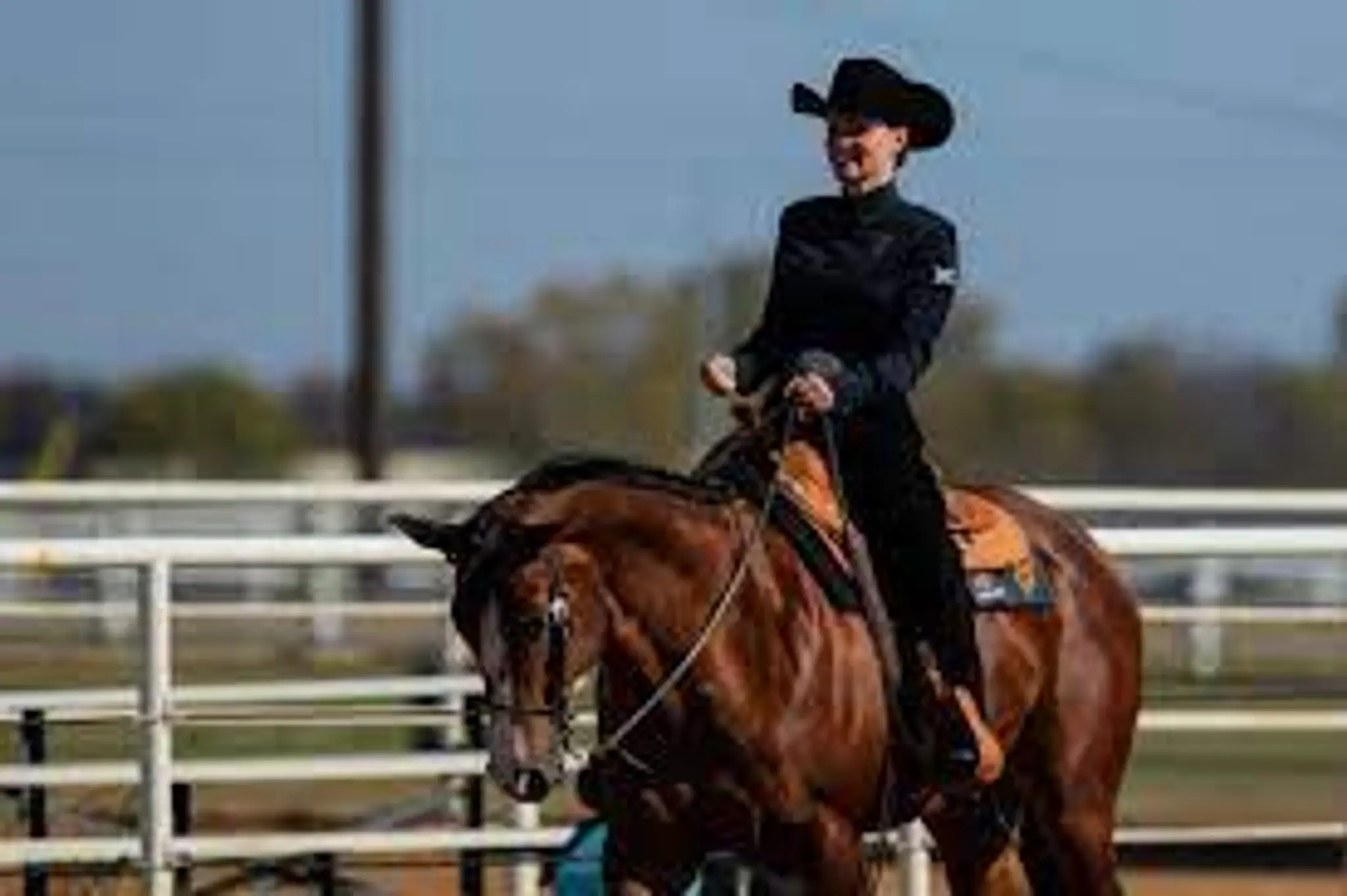Helensburgh Saddlery