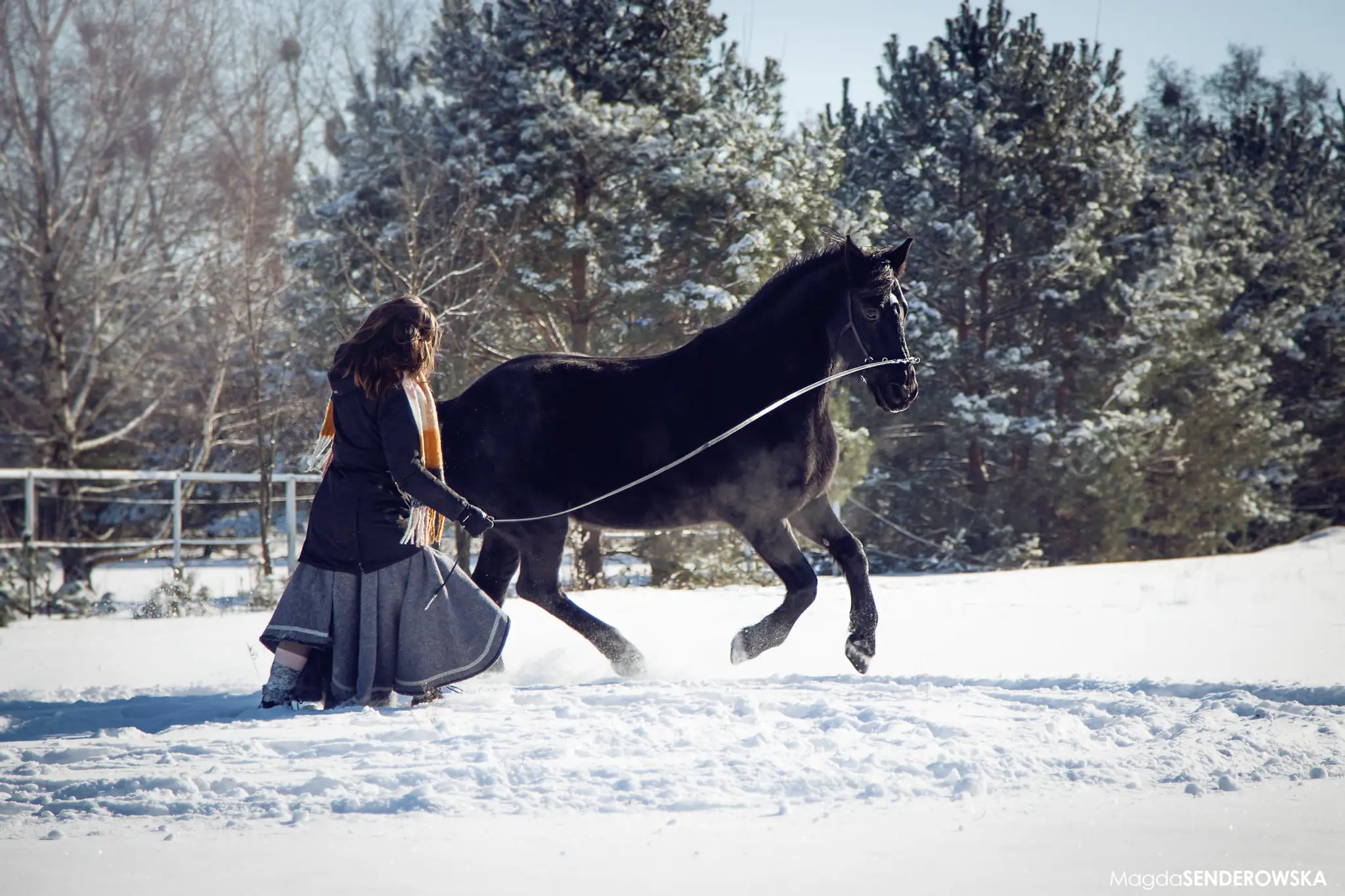 Kings Park Equestrian