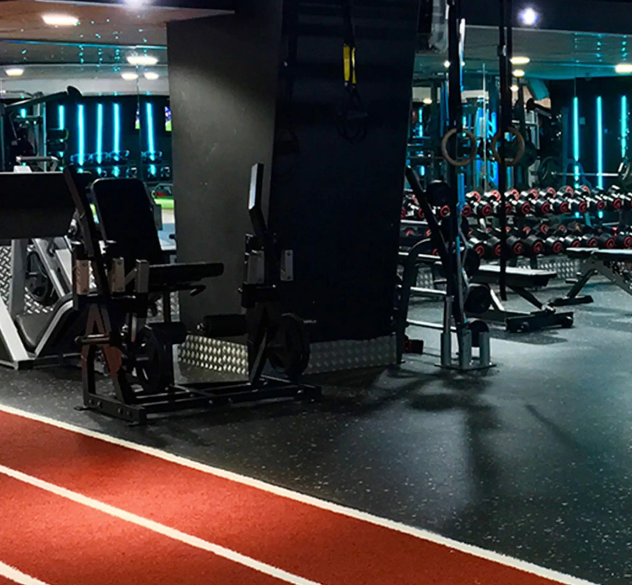 The Gym Way