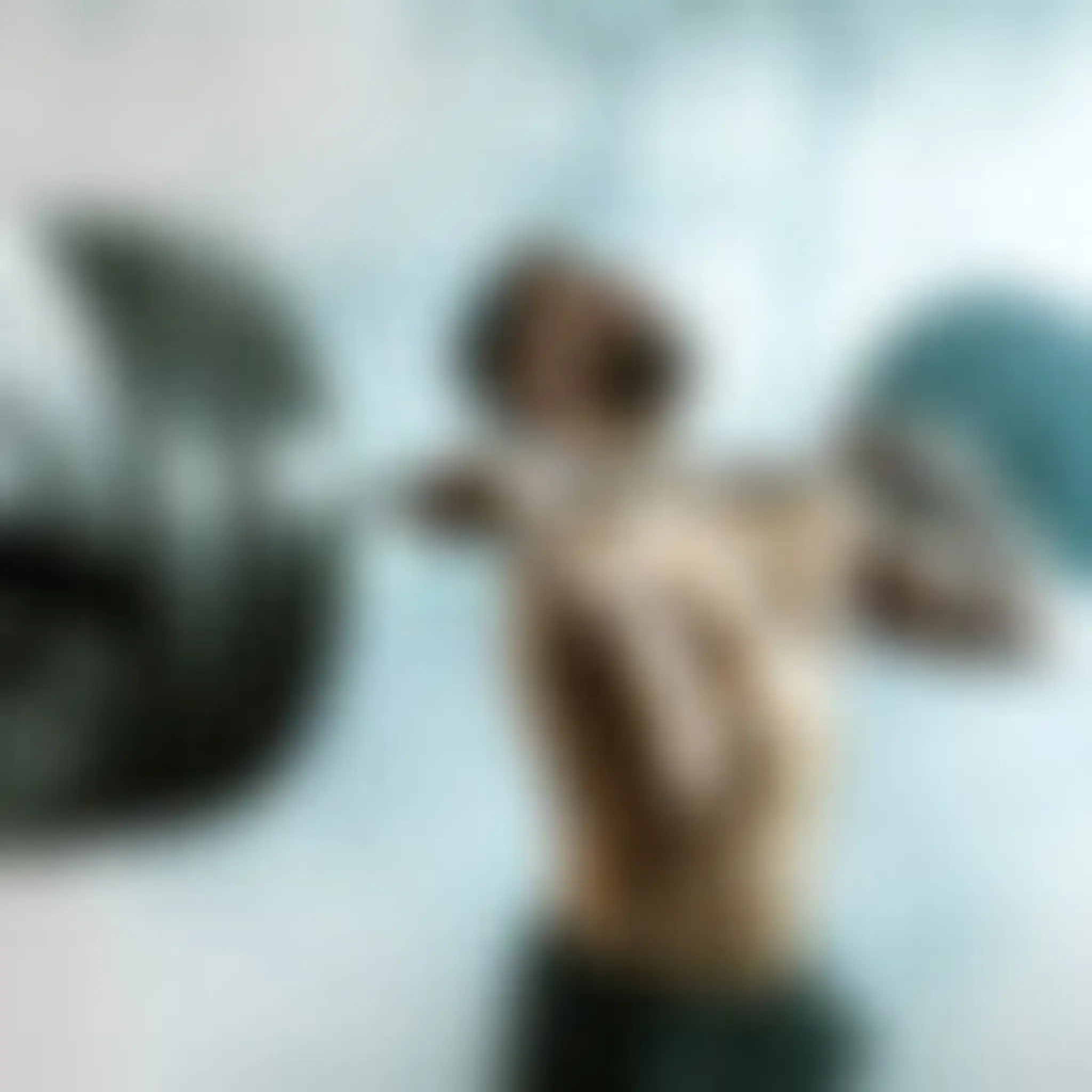 Pure Strength Athletics