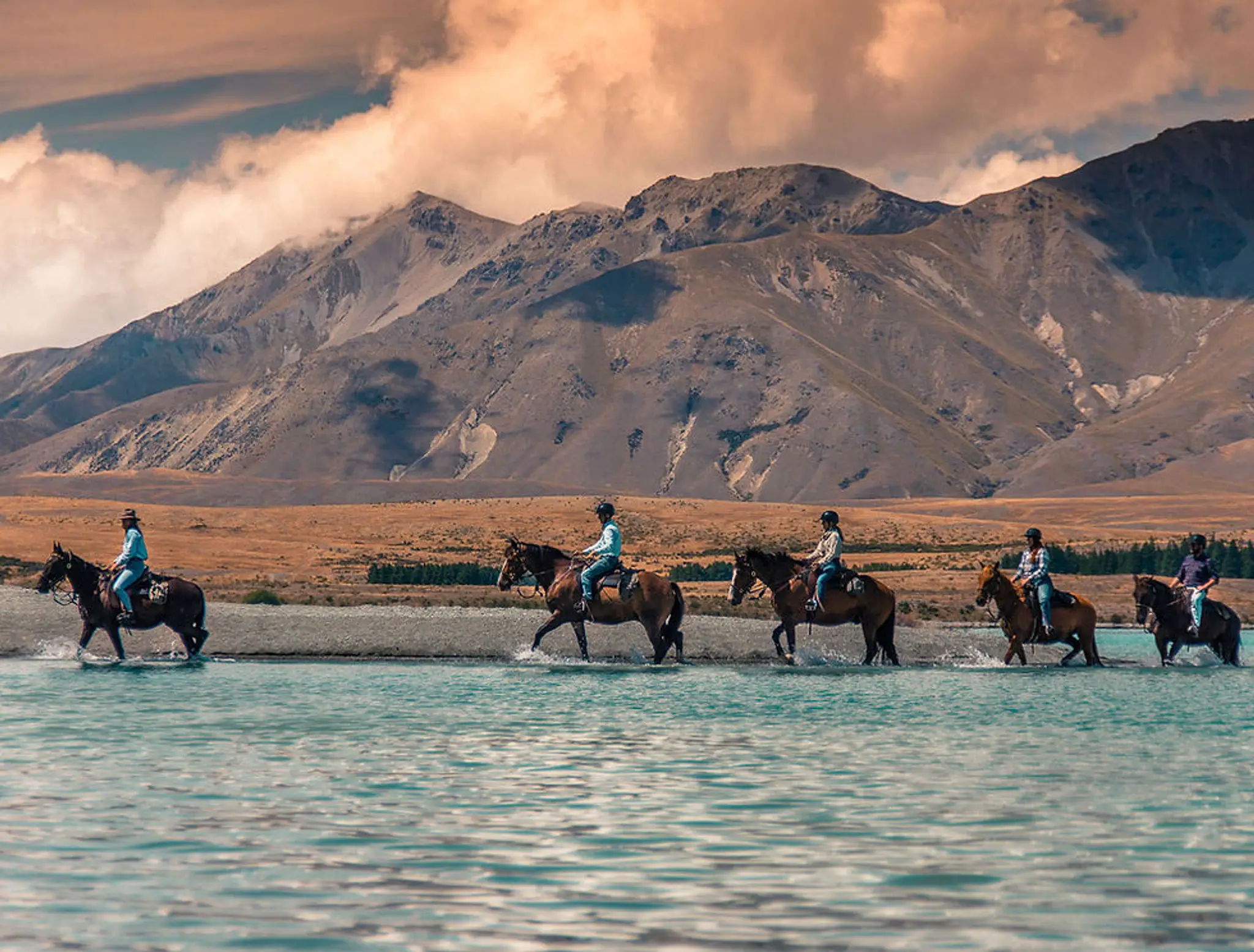 Mackenzie Alpine Horses