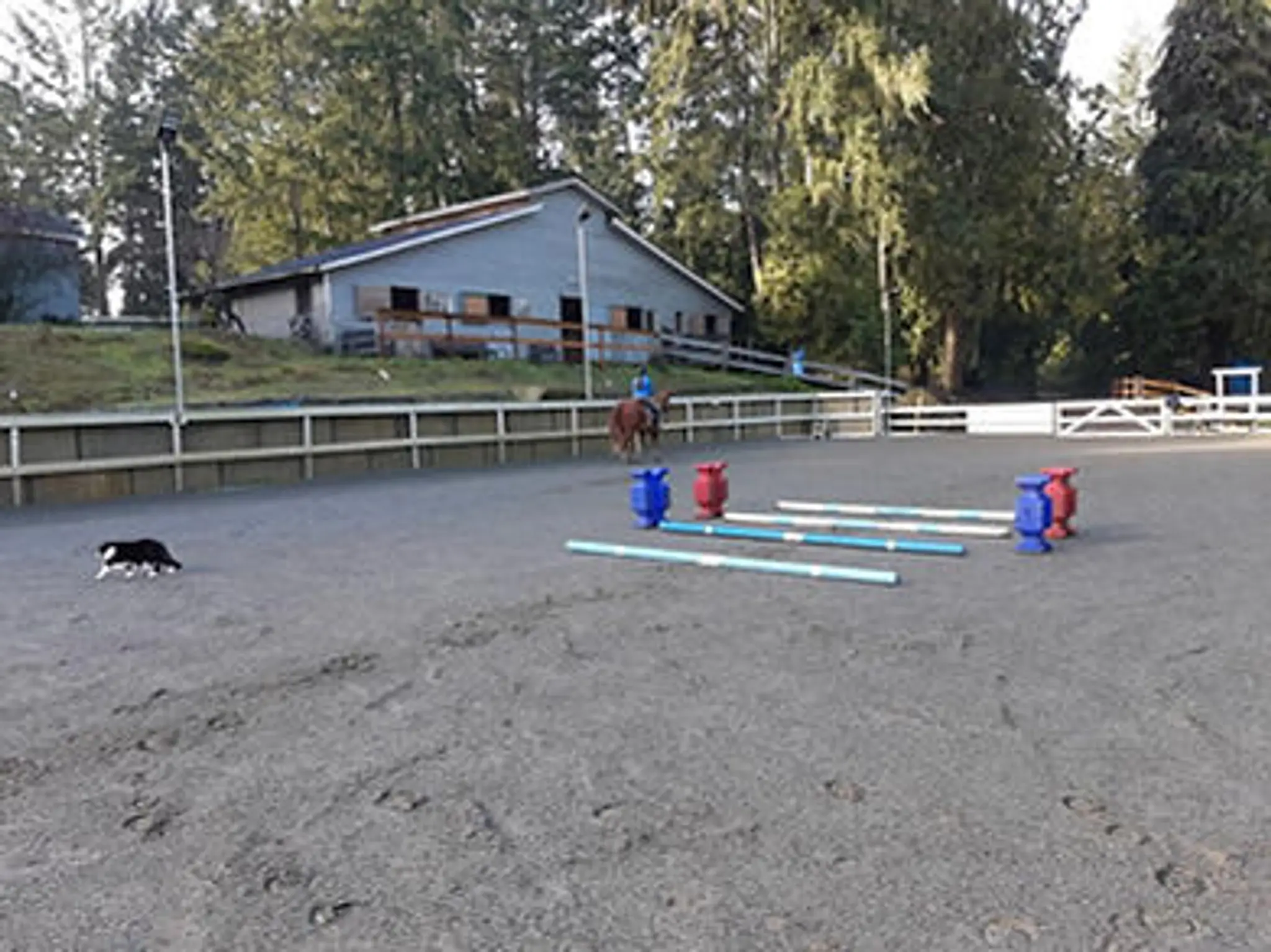 Central-Island Equestrian Center Nanaimo