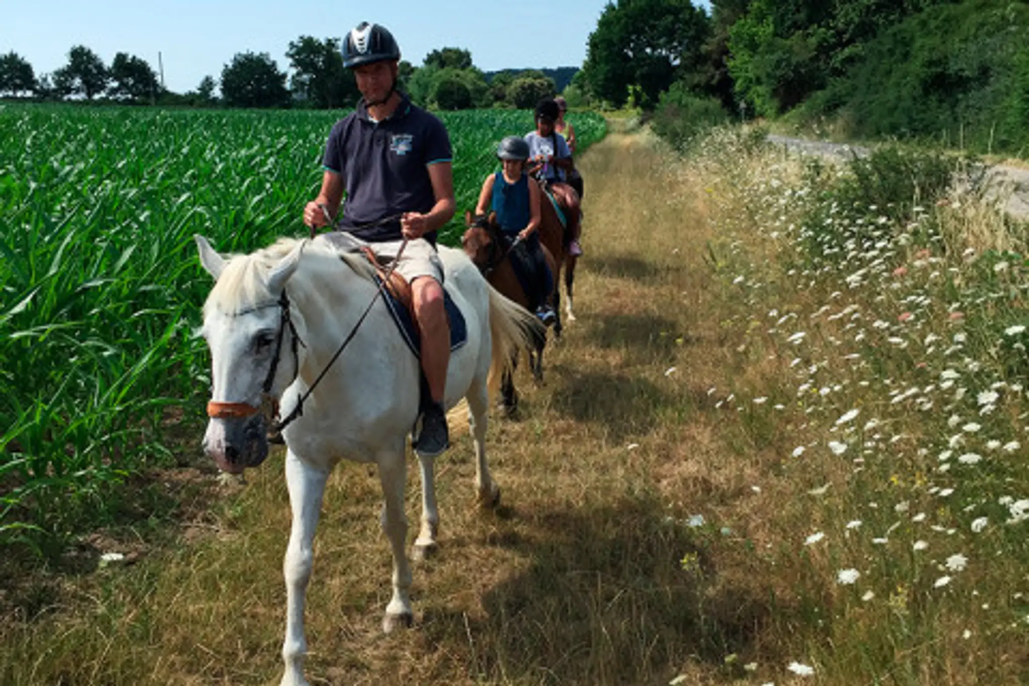 Equestrian Center Mané Guernehué À Baden Gulf Du Morbihan 56