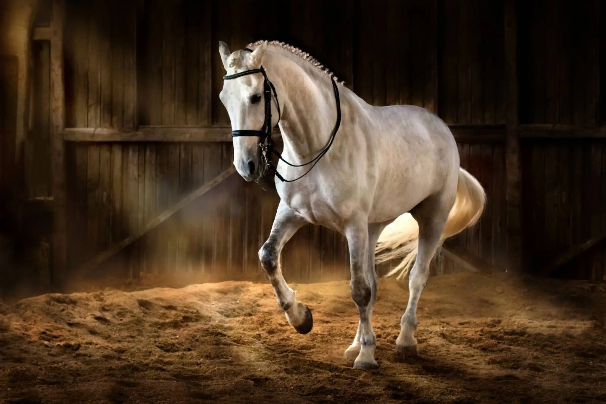 Stables Du Mas Neuf