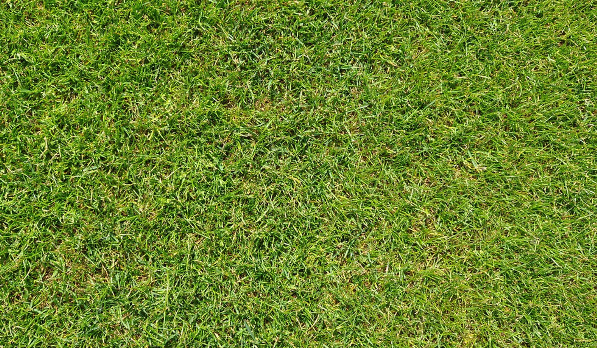 Cuffley Football Club