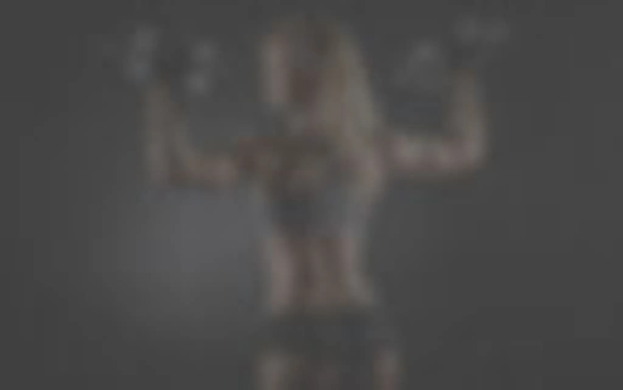 Fitness • Wellness • Accommodation