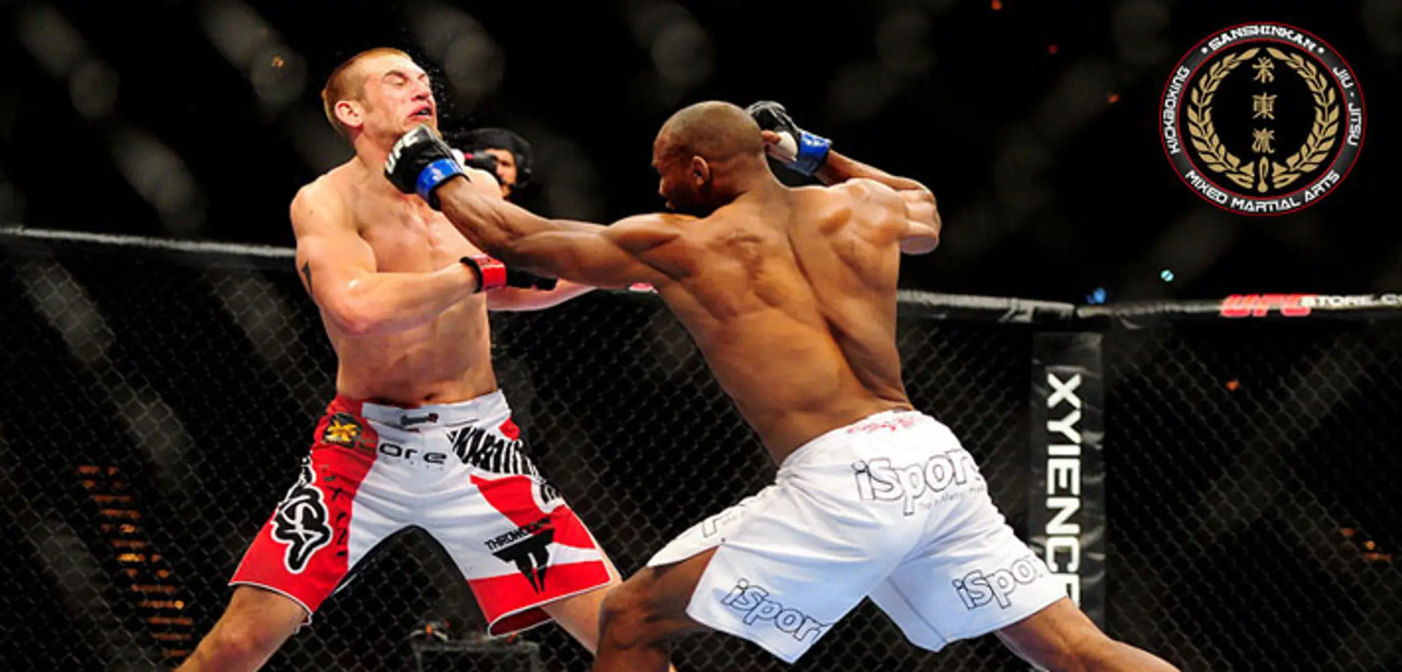 Mixed Martial Arts Federation