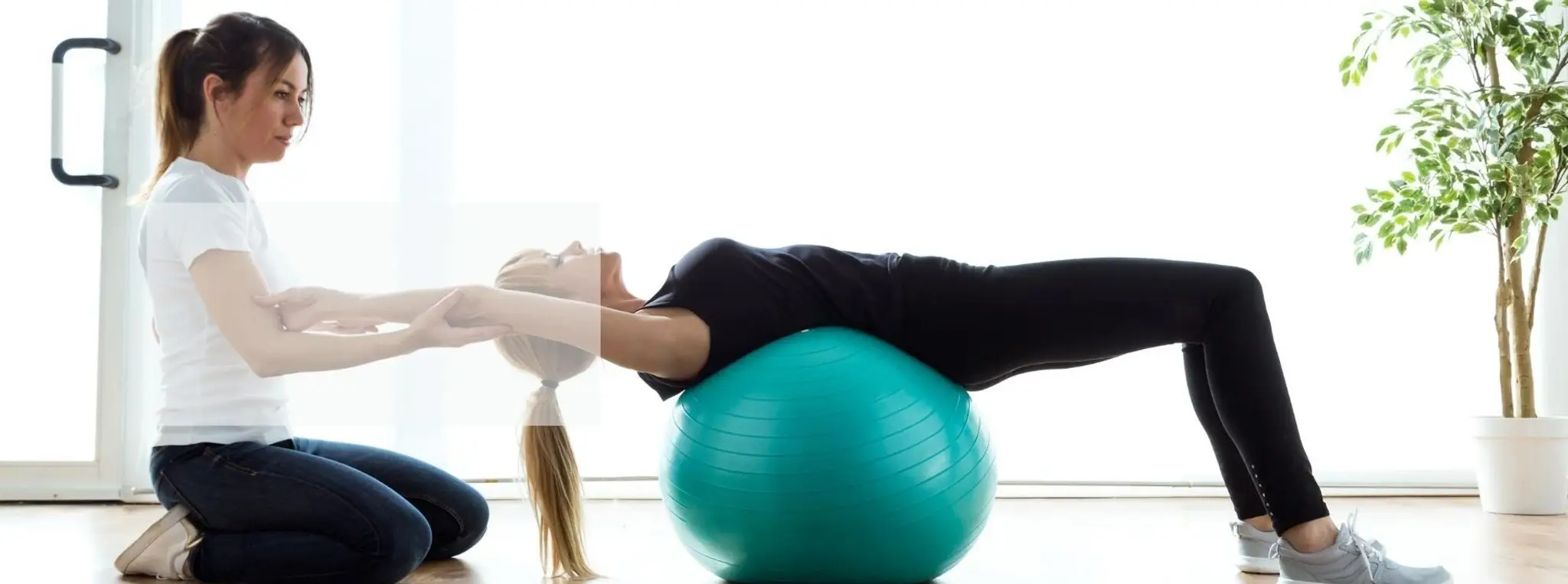 PREP Physio