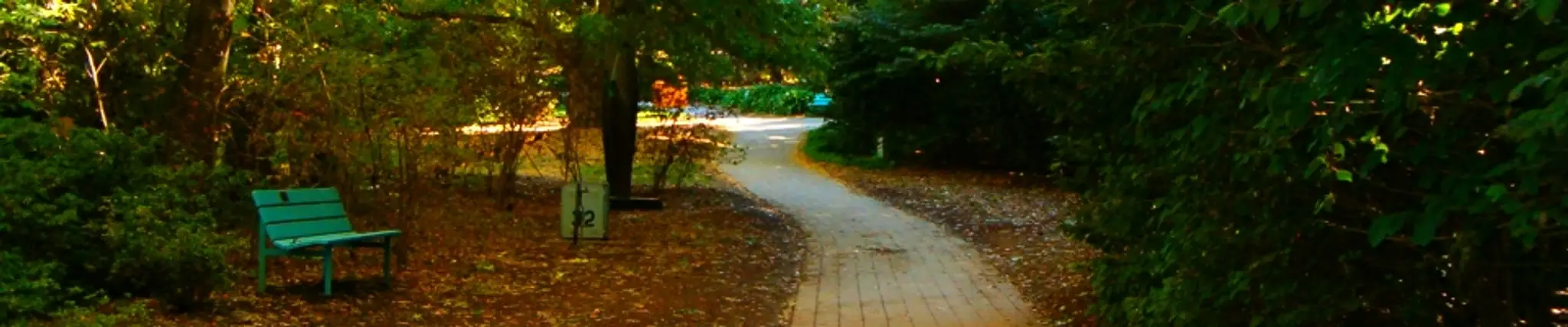 Mindwise Psychology Illawarra