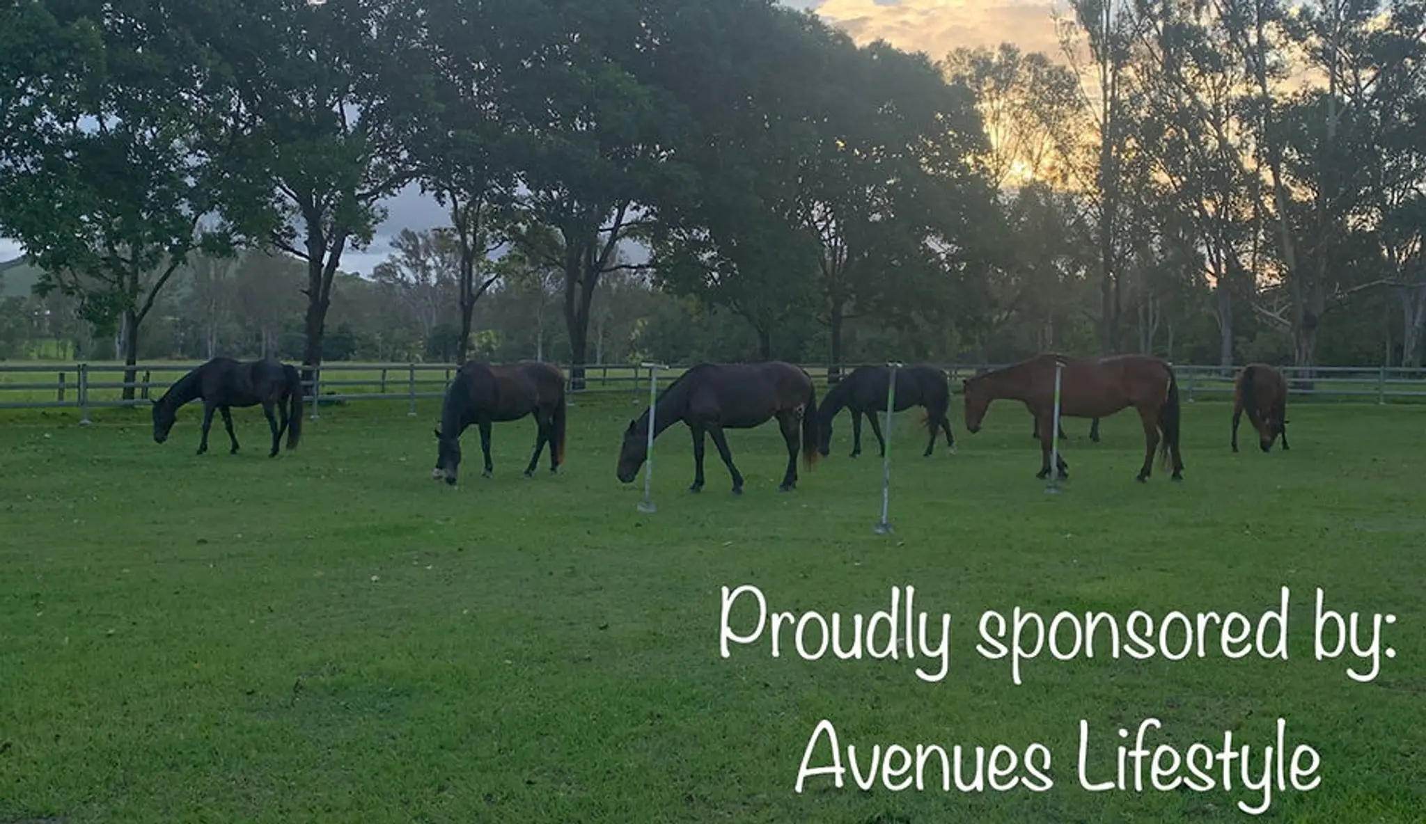 Gympie and District RDA