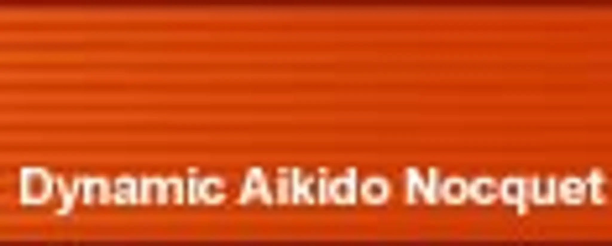 Dynamic Aikido Nocquet U