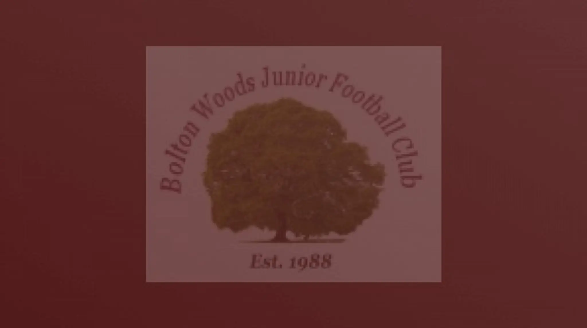 Bolton Woods Junior Fc