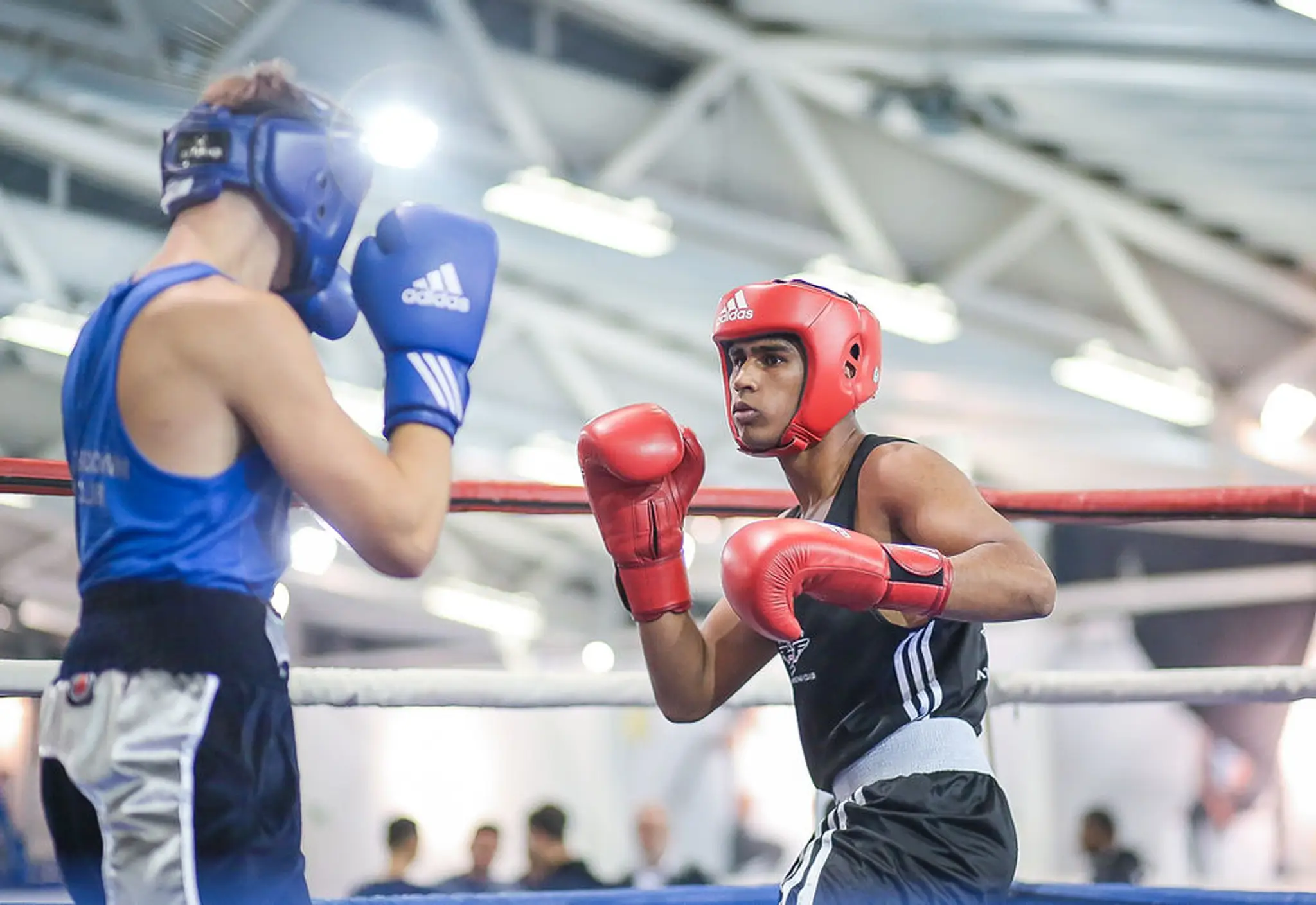 Edmonton Eagles Amateur Boxing Club