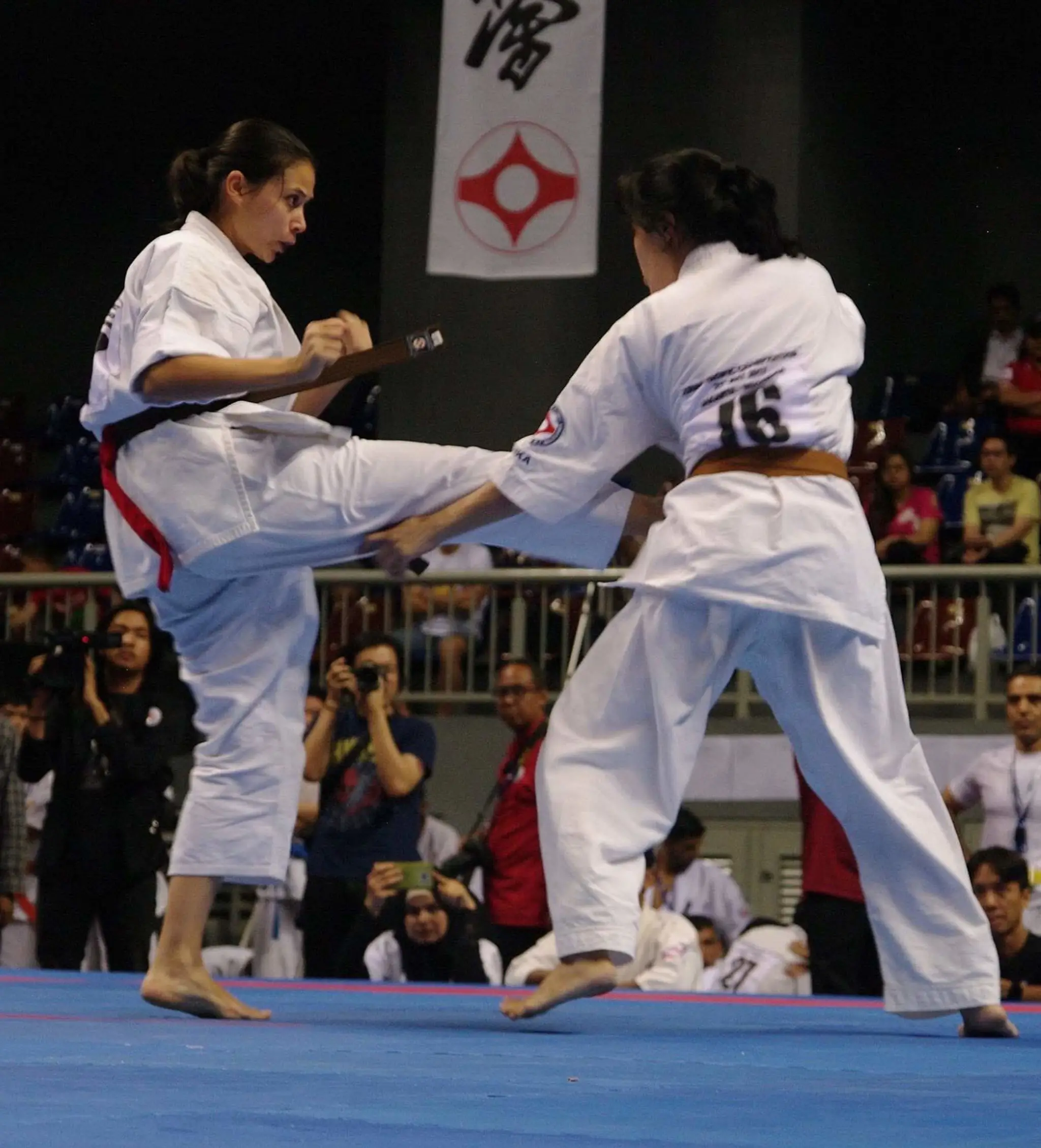 Brighton Kyokushin Karate