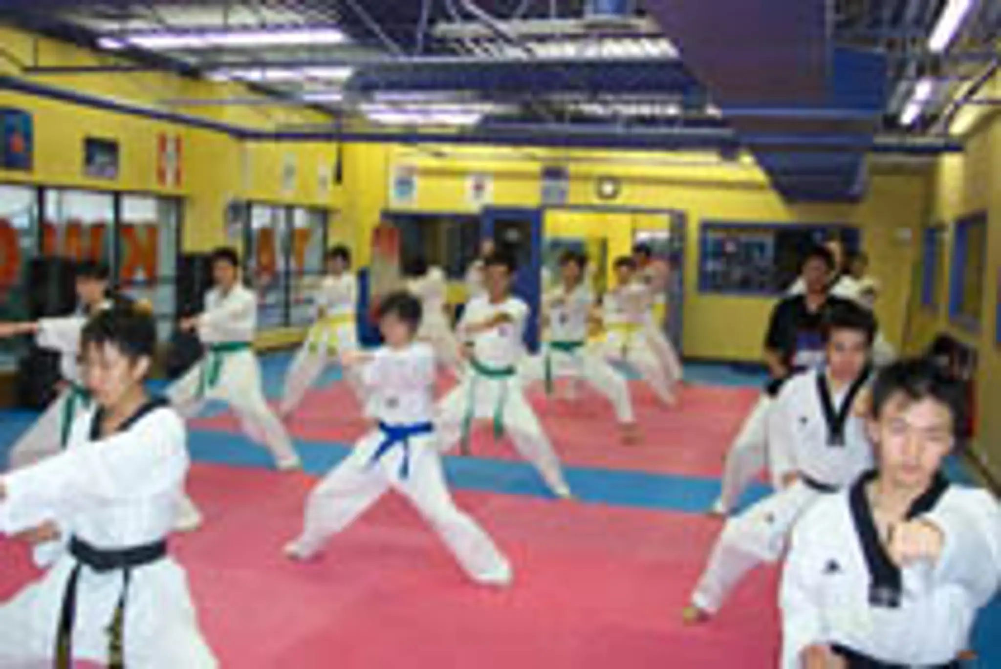 Markham Taekwondo Academy