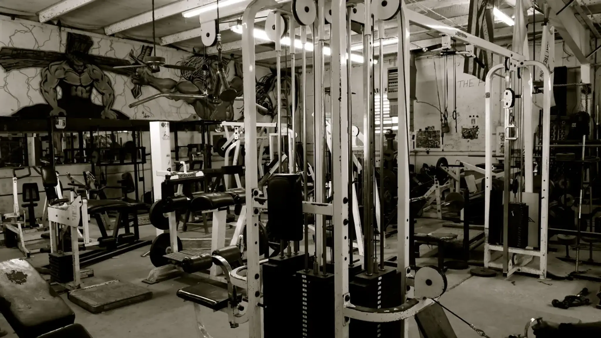 Metroflex gym & Spa