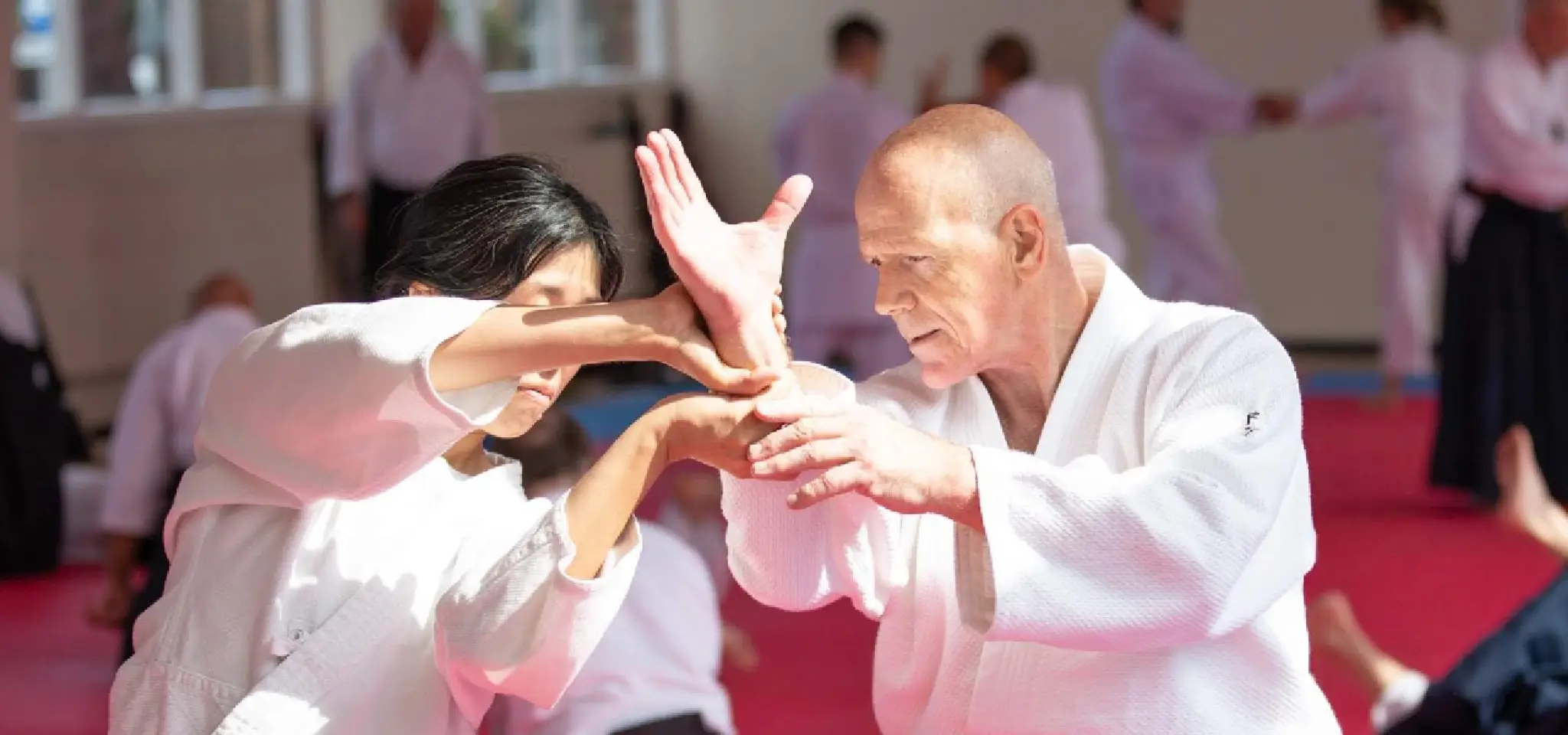 British Aikido Federation