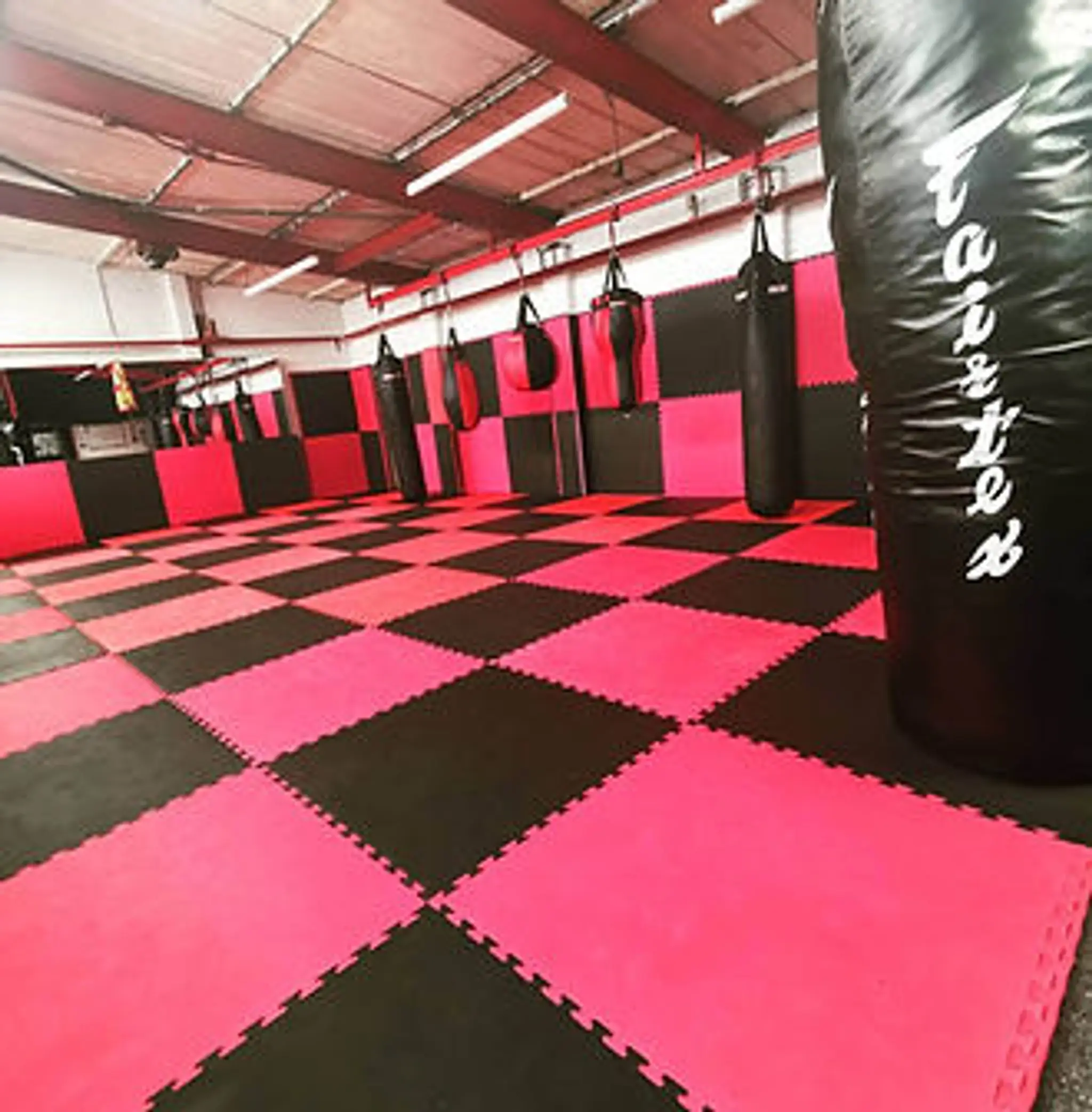 Southend Street Gym (calisthenics, free weights, combat sports)