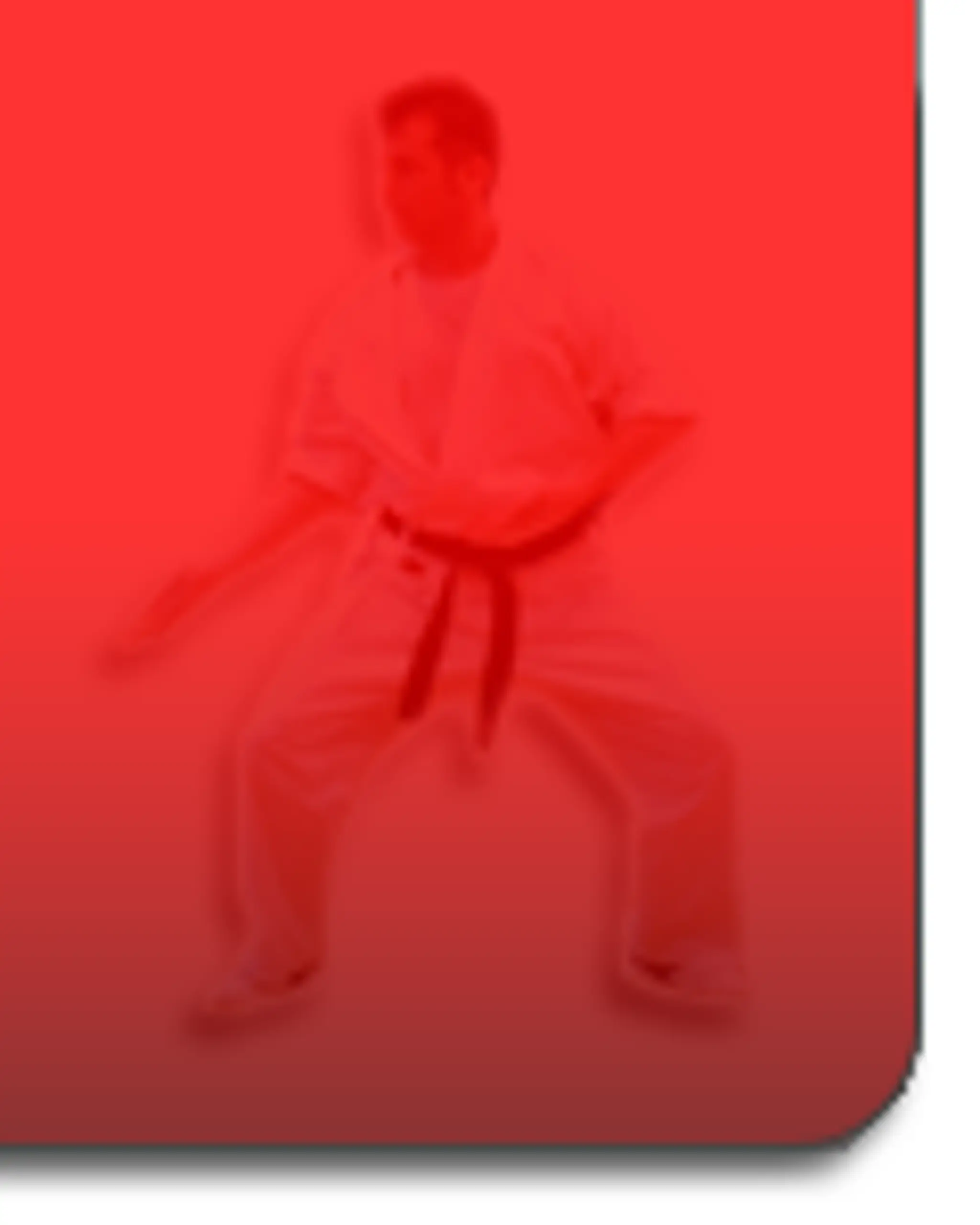 Phoenix Martial Arts