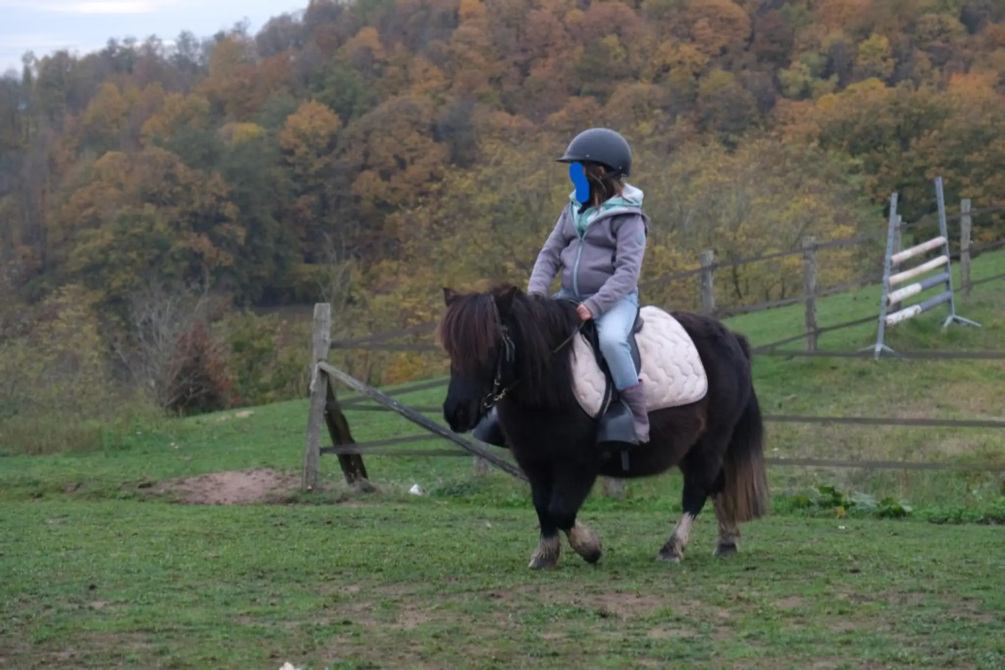 Floriane Vailleau Equestrian Center Le Sapajou