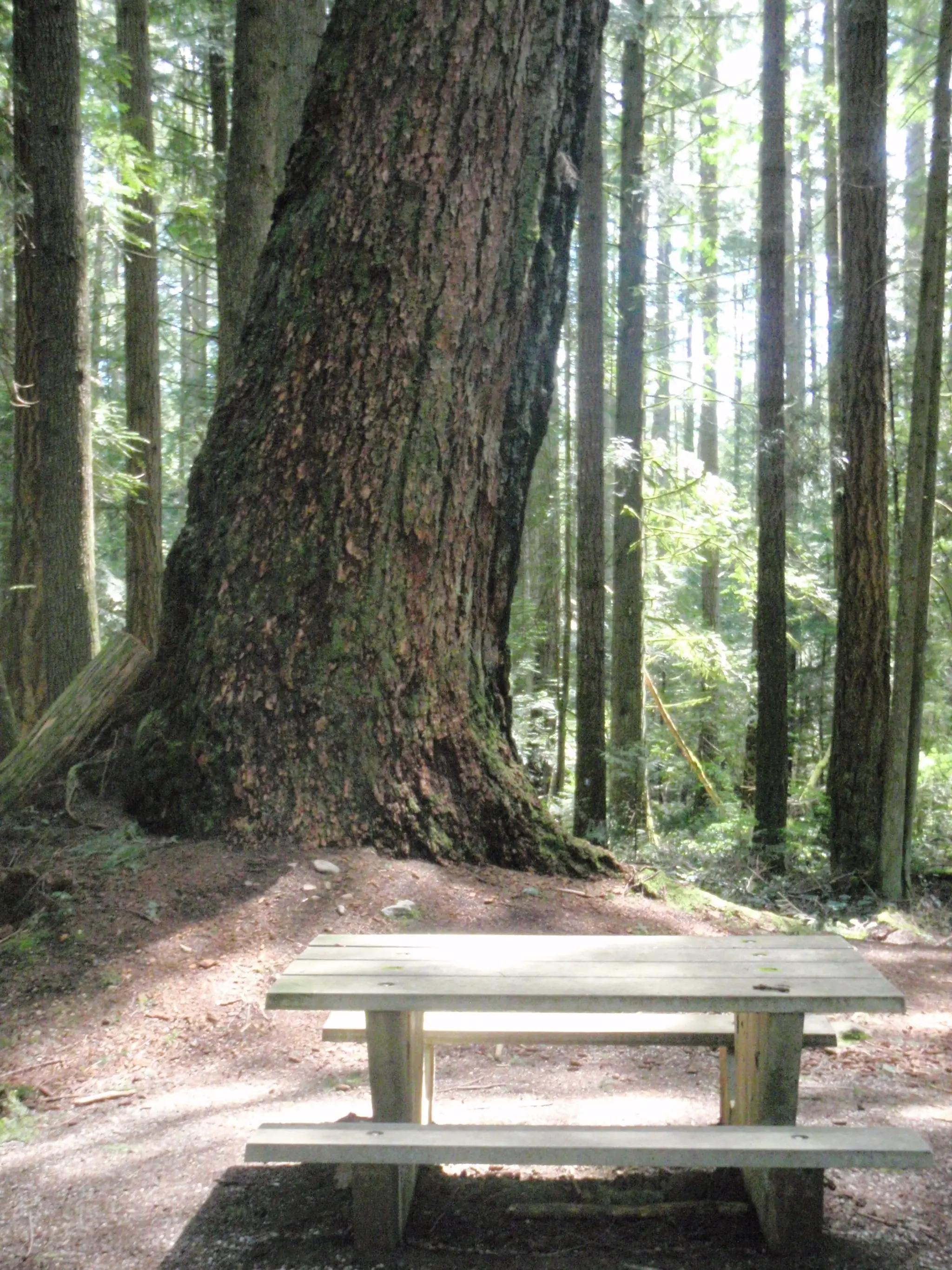 Gibsons & District Aquatic Facility