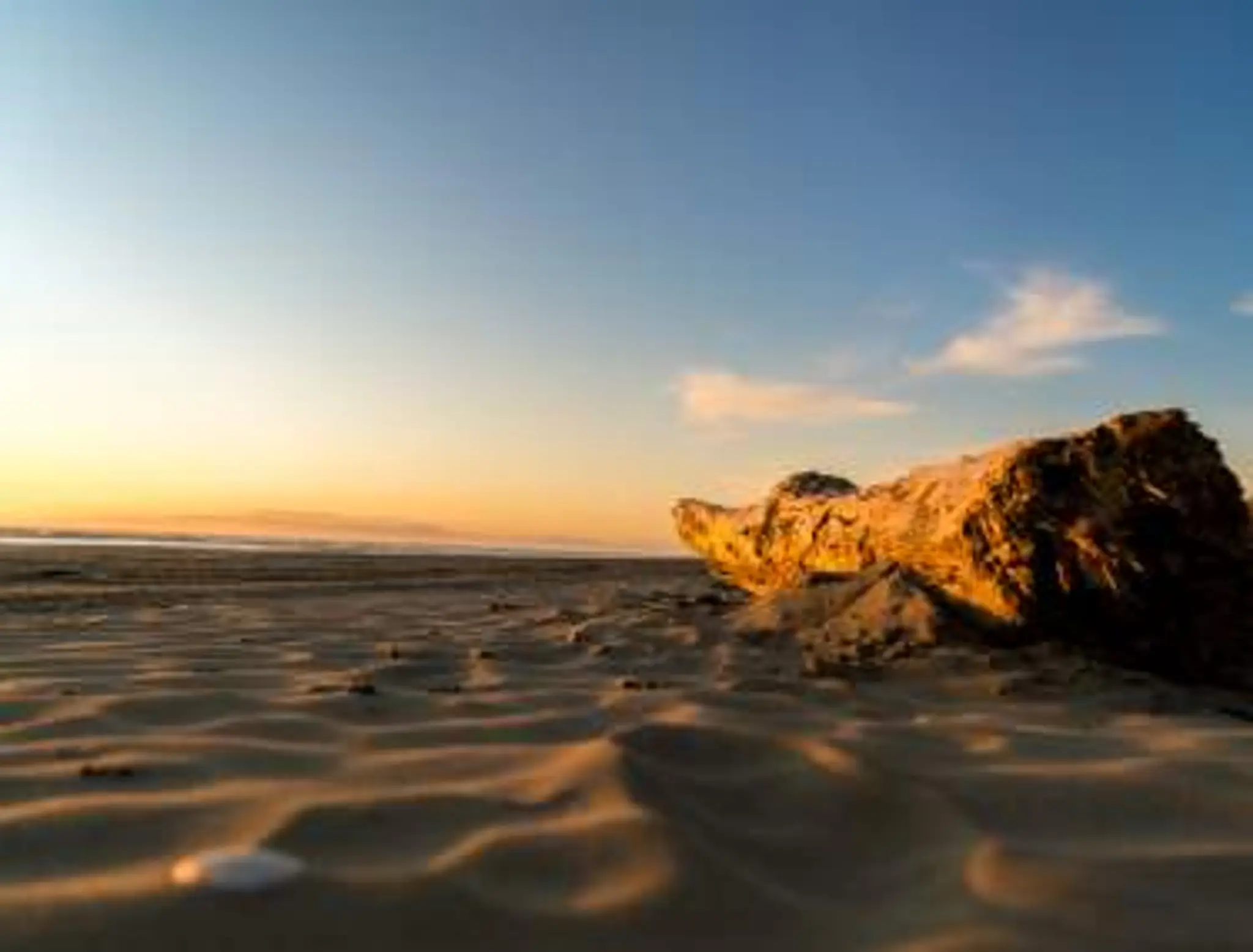 Fly Fishing Expeditions