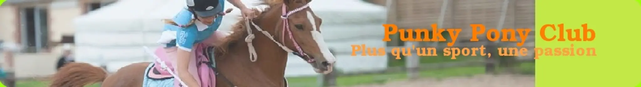 Le Punky Pony Club