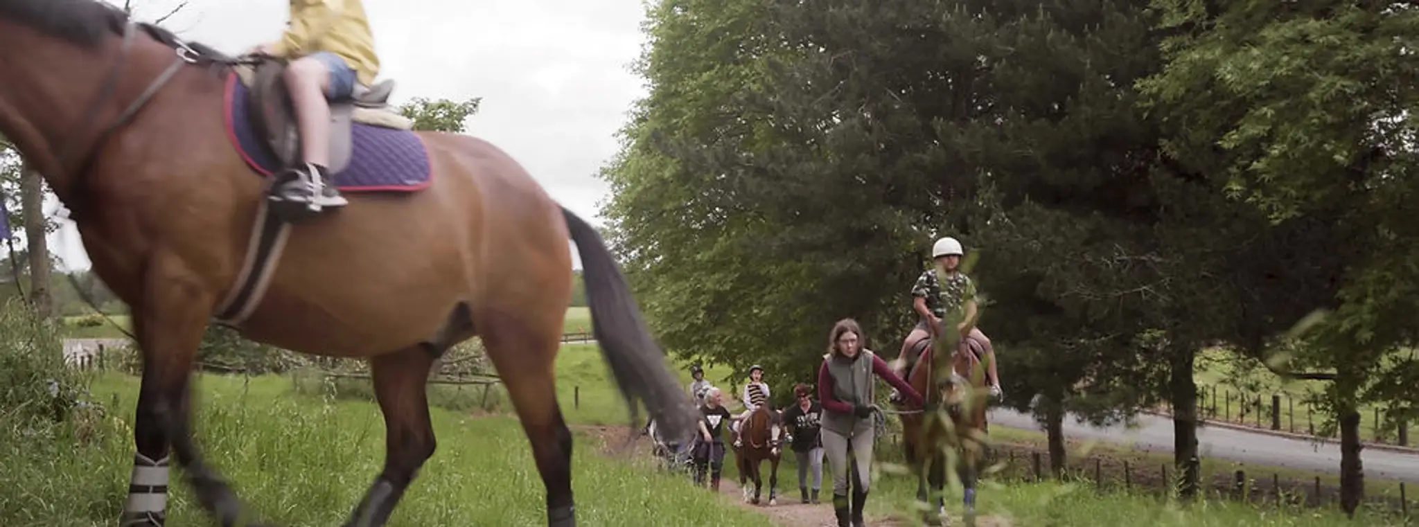 Equipotential NZ Incorporated