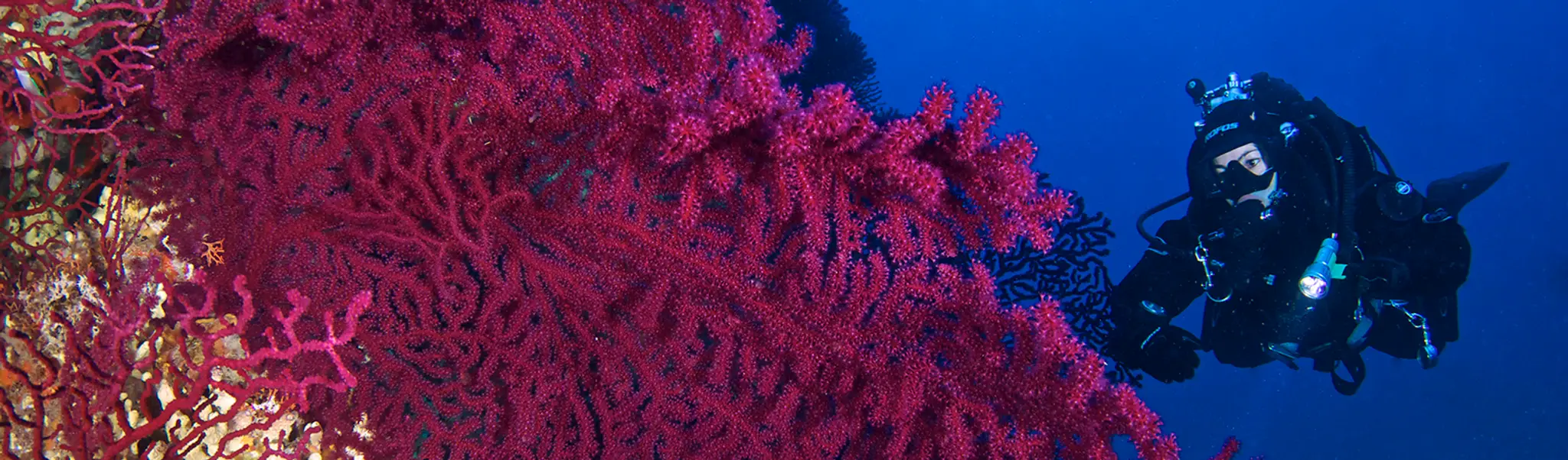 ASD Pianeta Blu "IMBARCO"