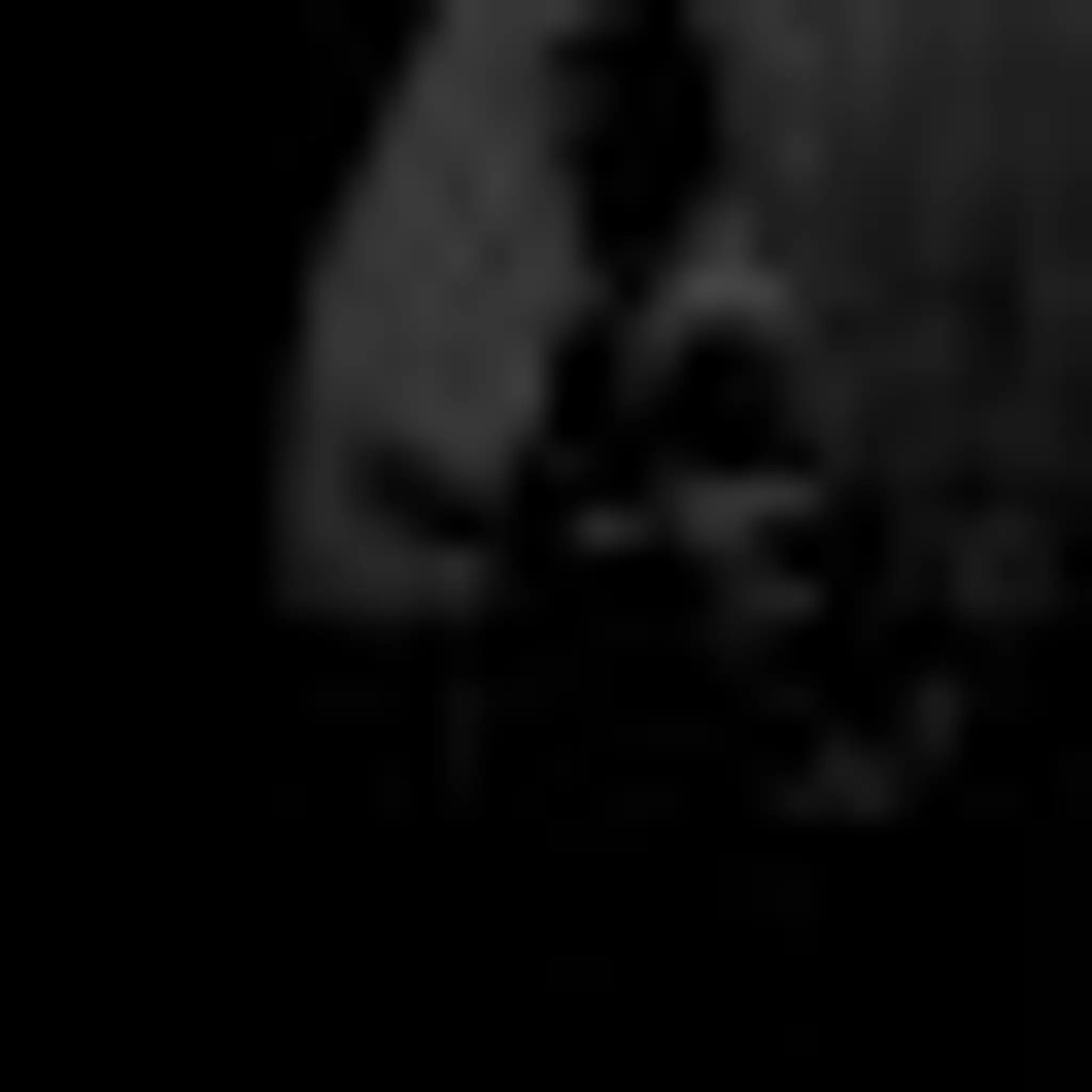 Classical martial Arts Research Academy (CMARA)