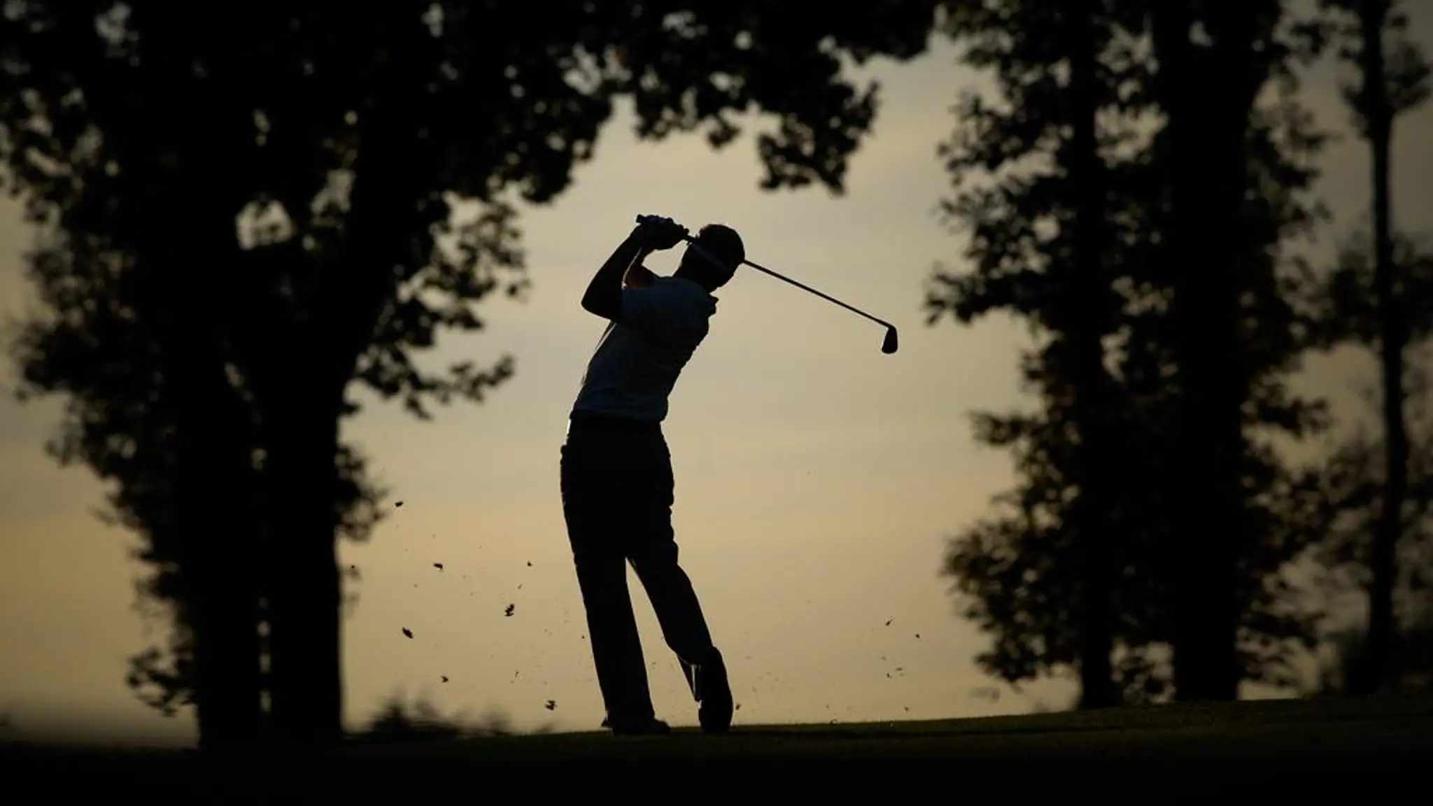 Dale Hill Hotel & Golf Club