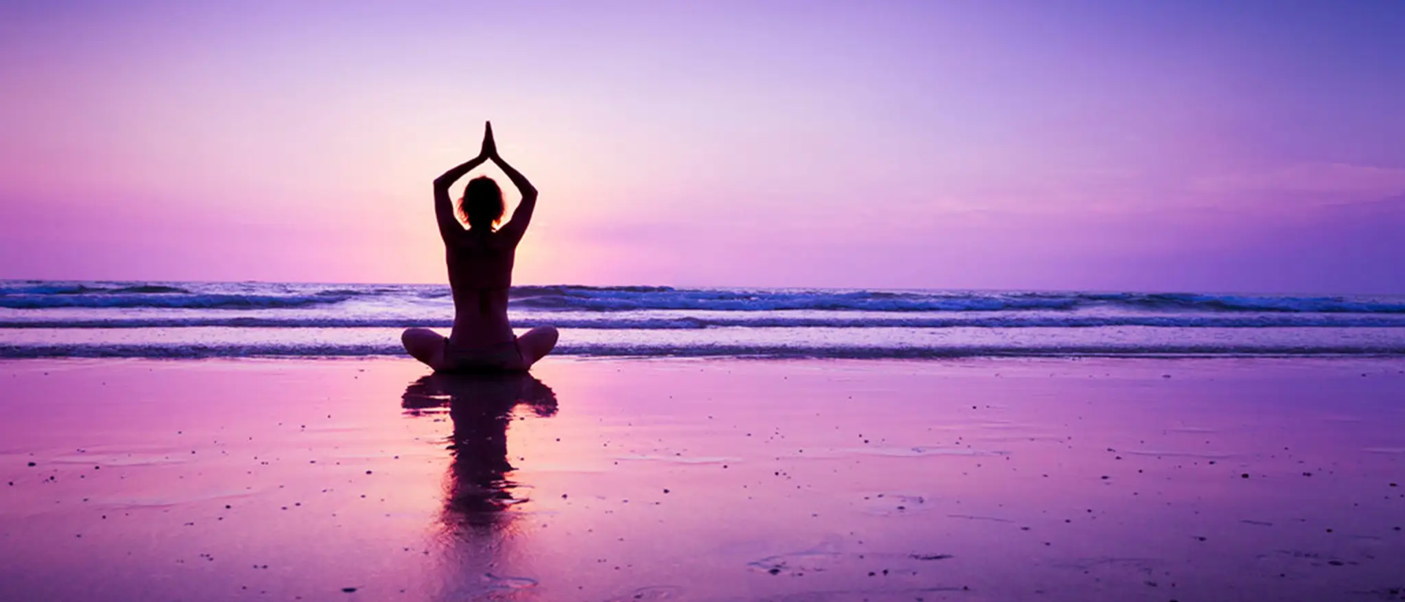 Yoga and Wellness centre