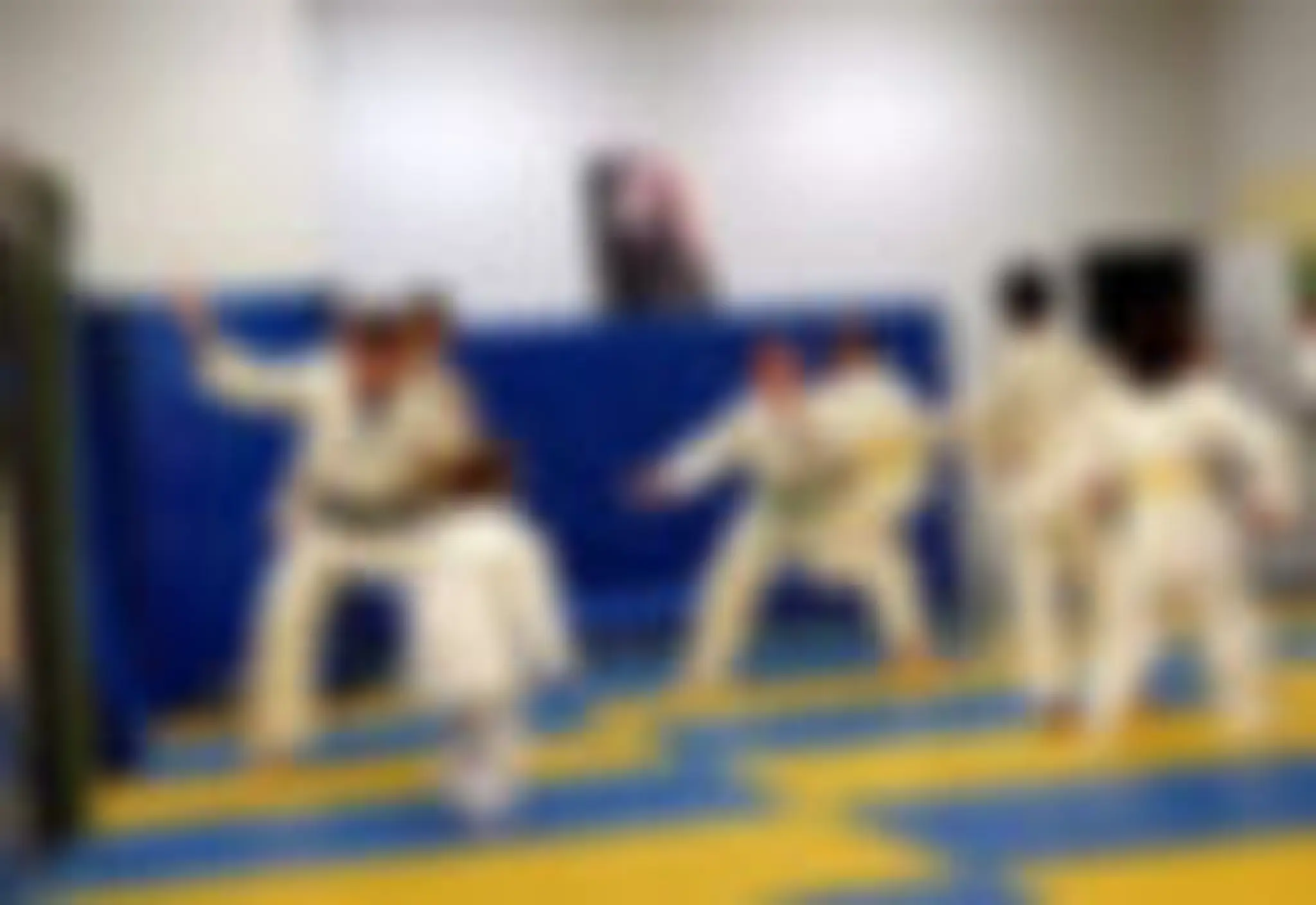 Top End Judo Academy