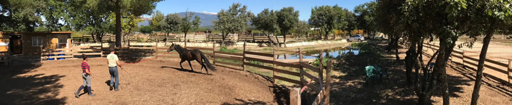 Lucky Horse Ranch