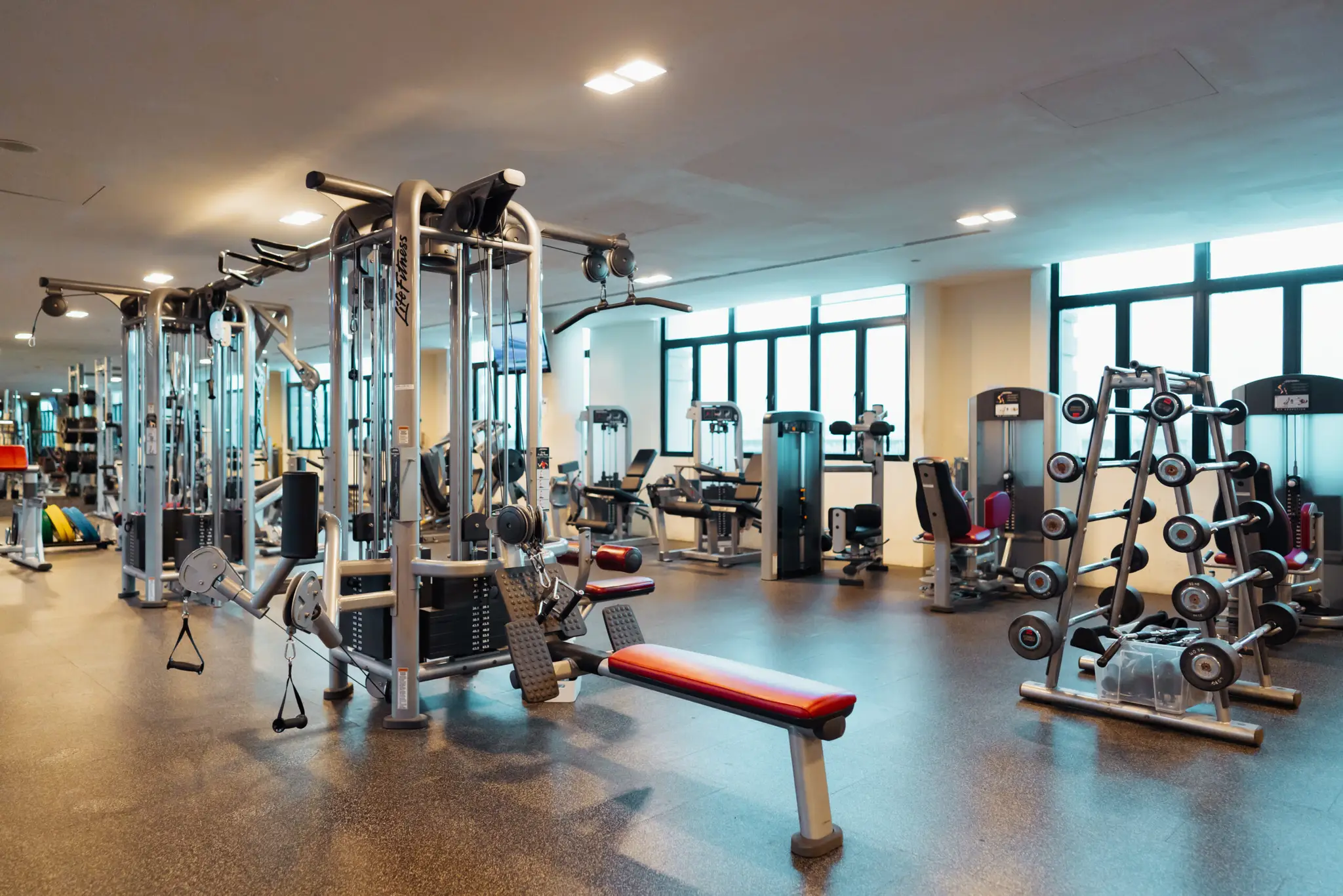 Trilogic Fitness (Novena)