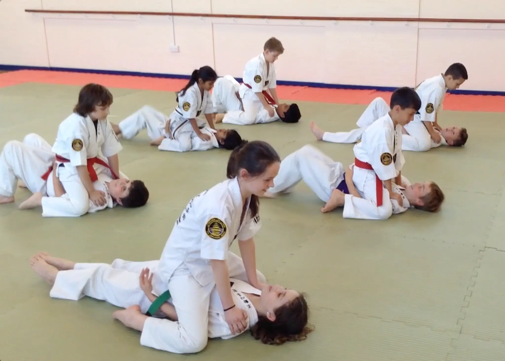 Fudoshin Ju-Jitsu Dojos