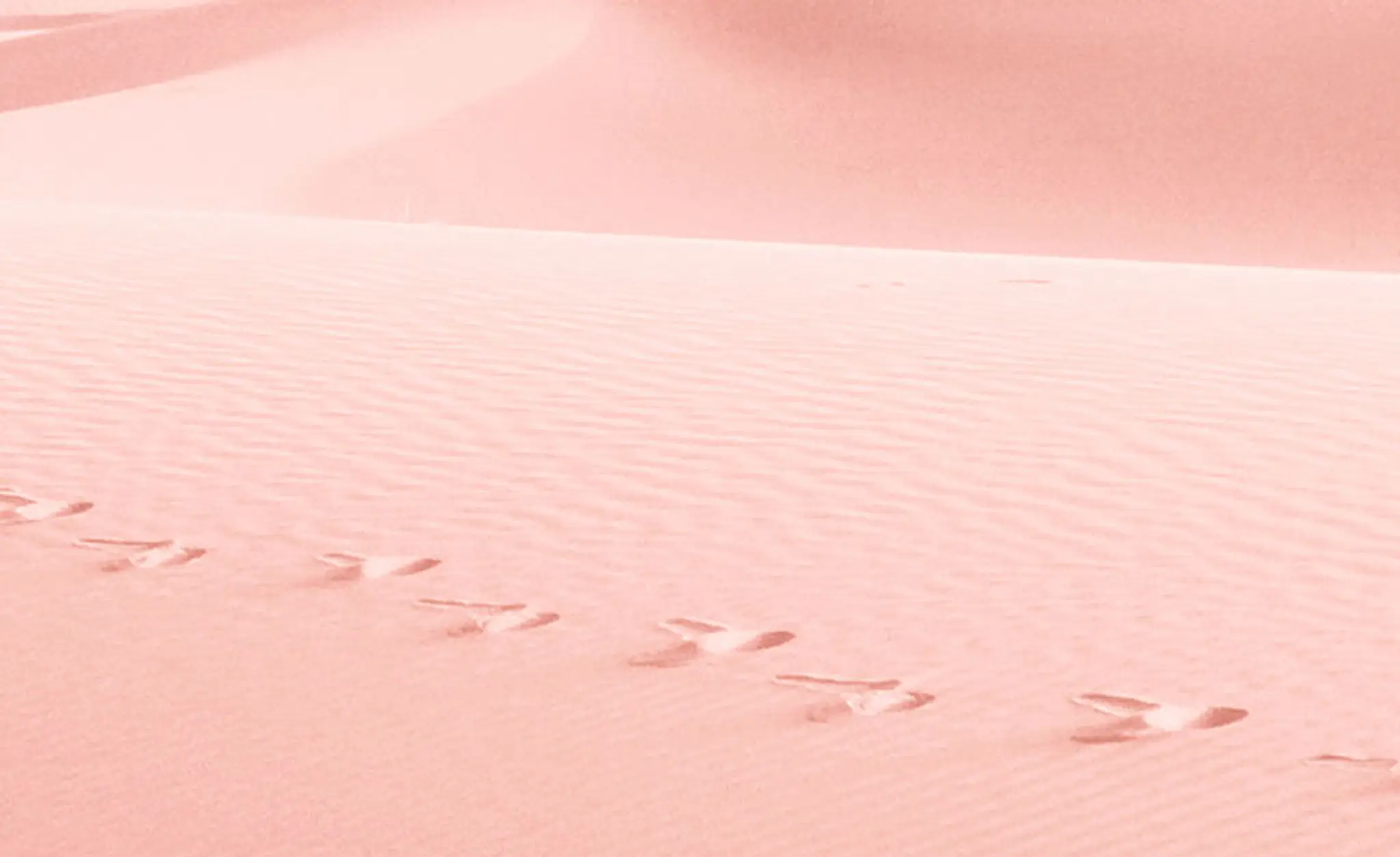 Écurie Arcadia Production