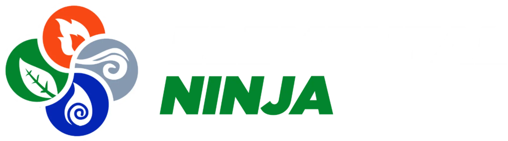 Elemental Ninja