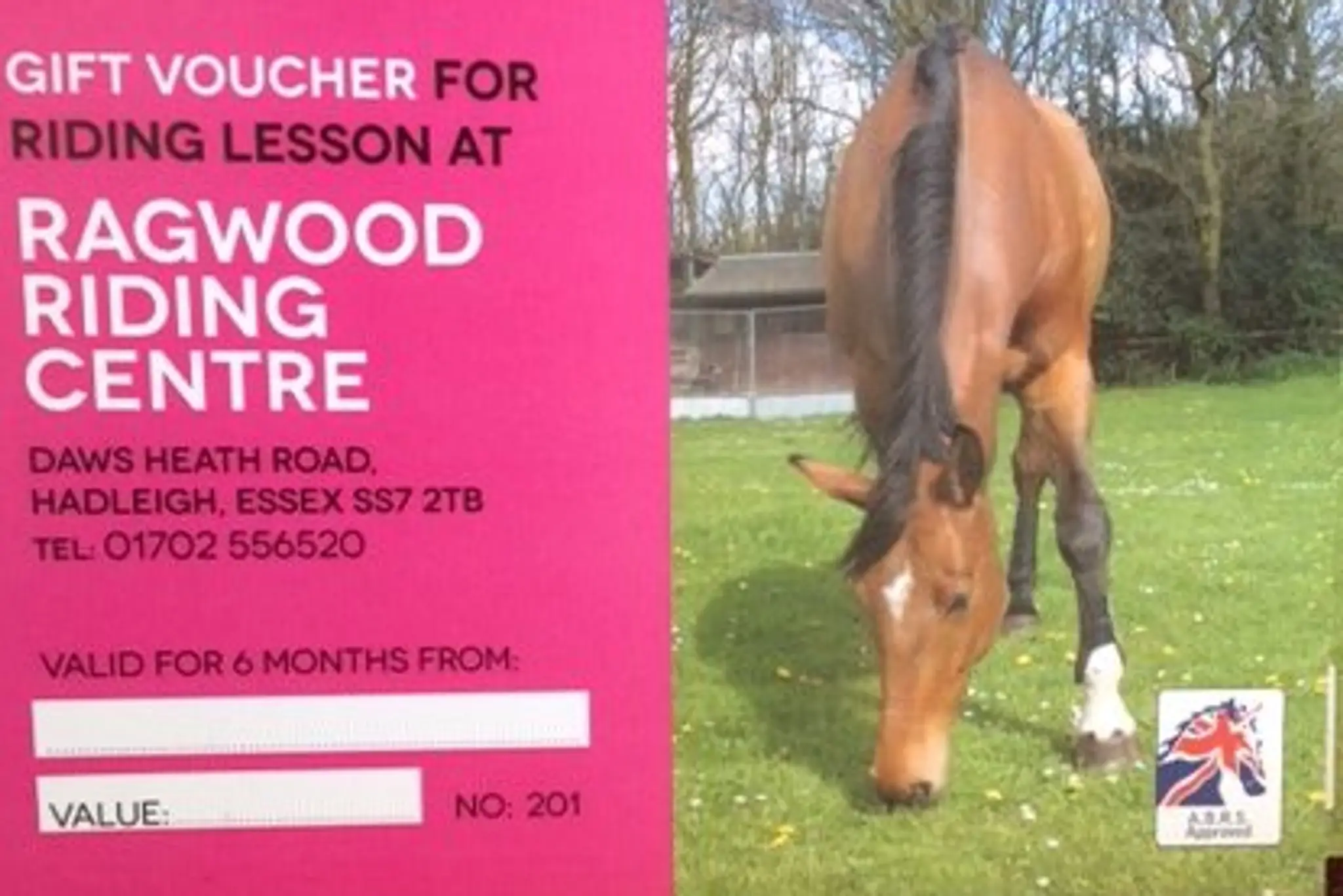 Ragwood Riding Centre