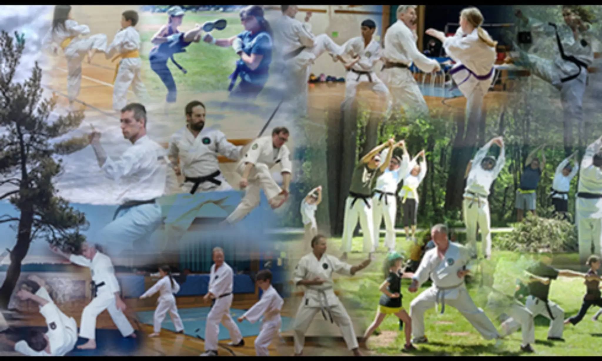 Orillia Academy of Karate