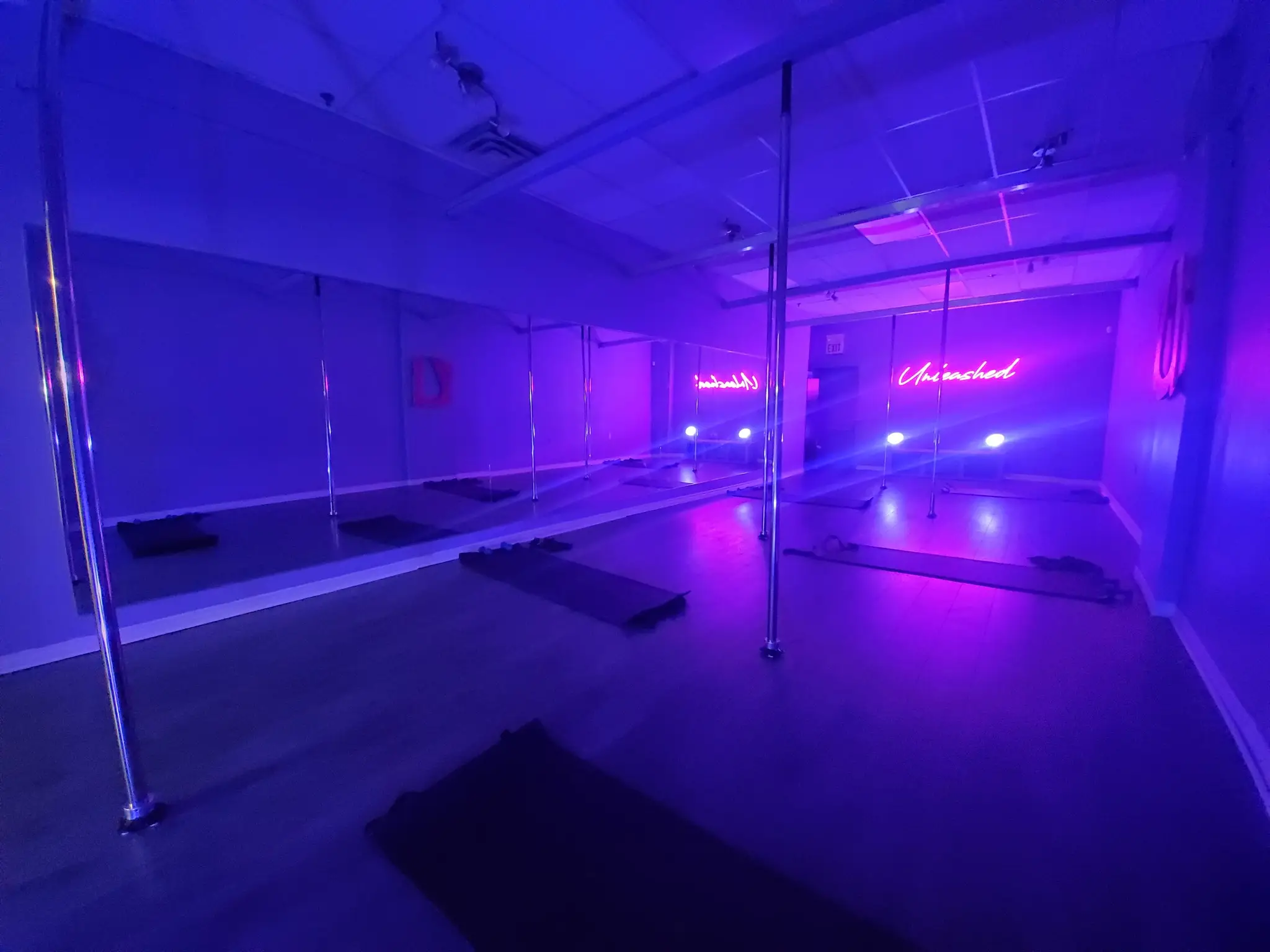 Unleashed Studio Halifax