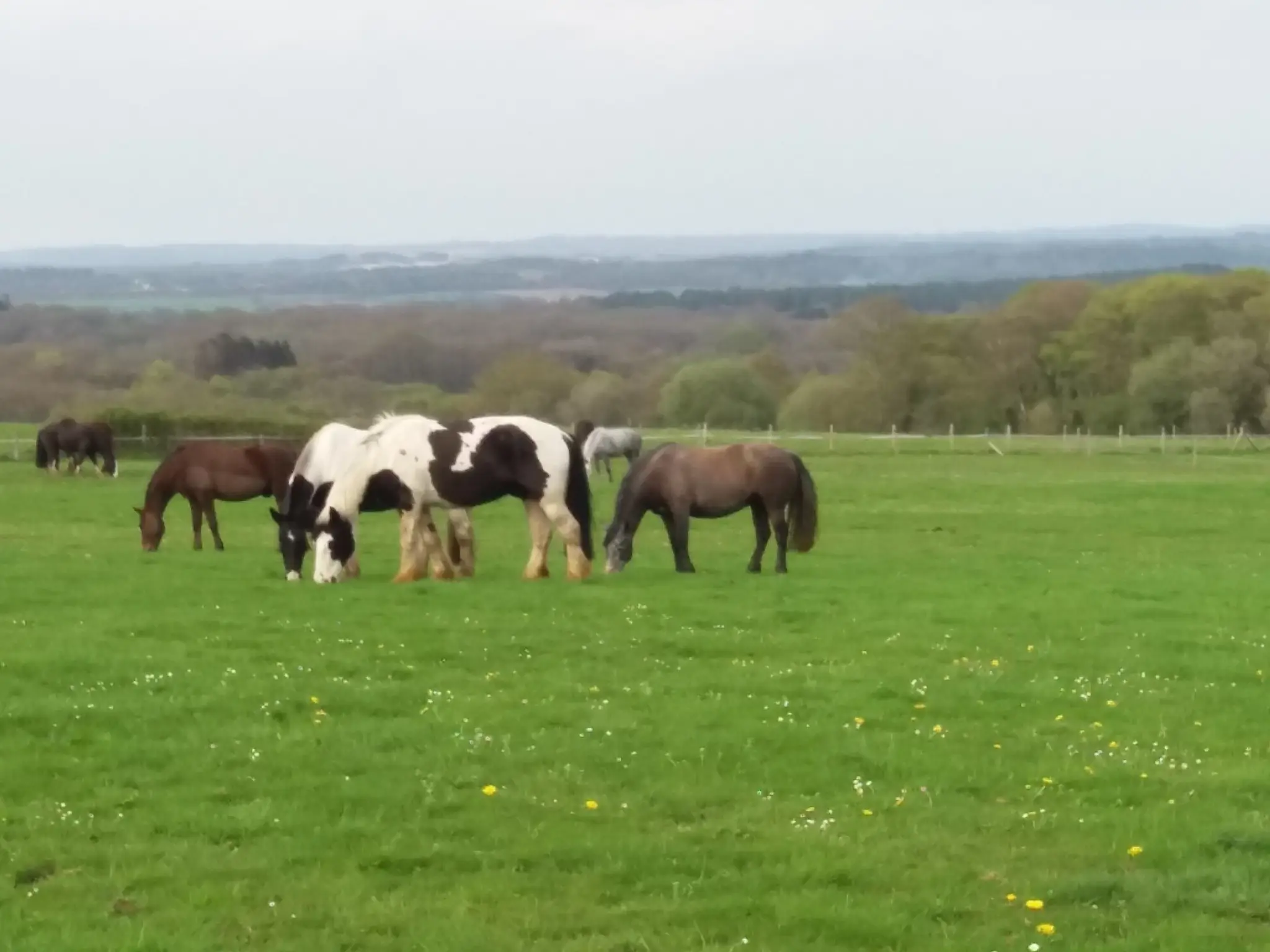 Lulworth Equestrian Centre