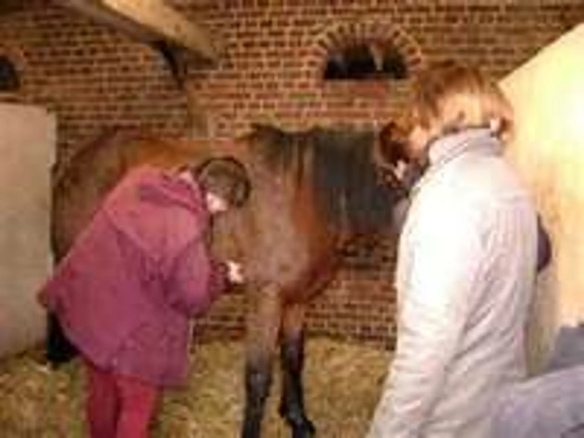 CENTRE DE TOURISME EQUESTRE DU VAL ST PIERRE