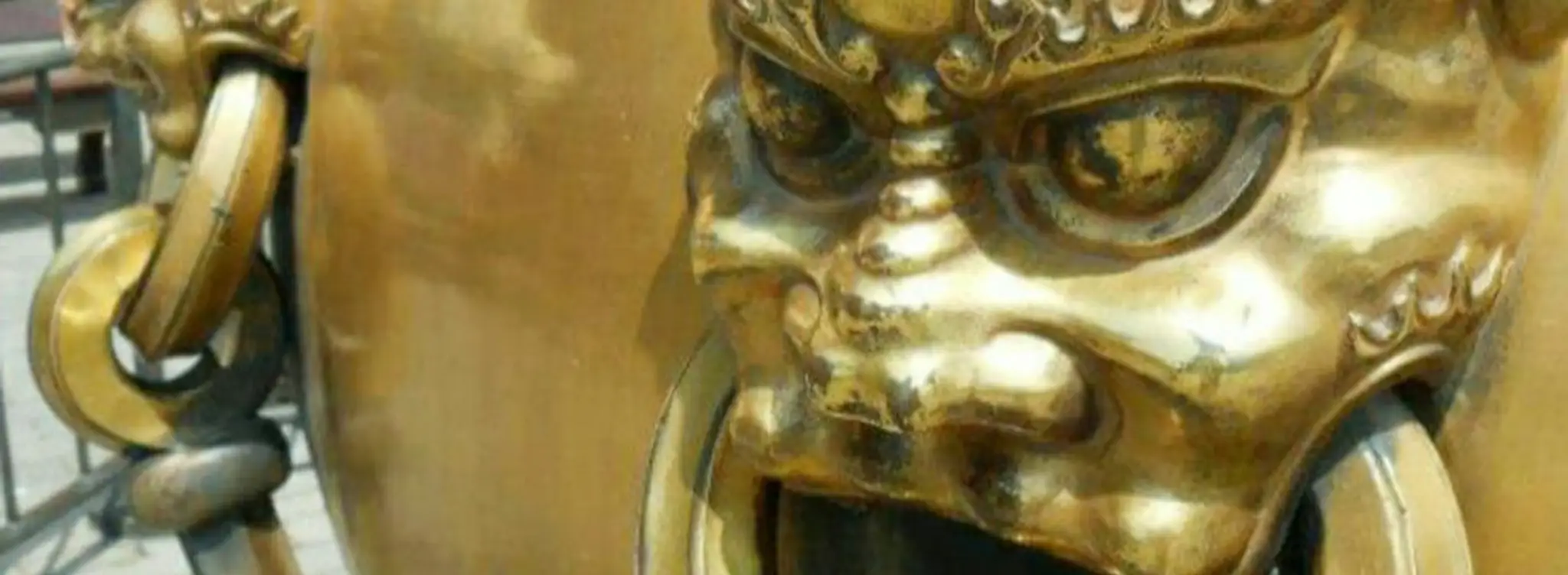 Dragon and Phoenix Wing Chun Kung Fu