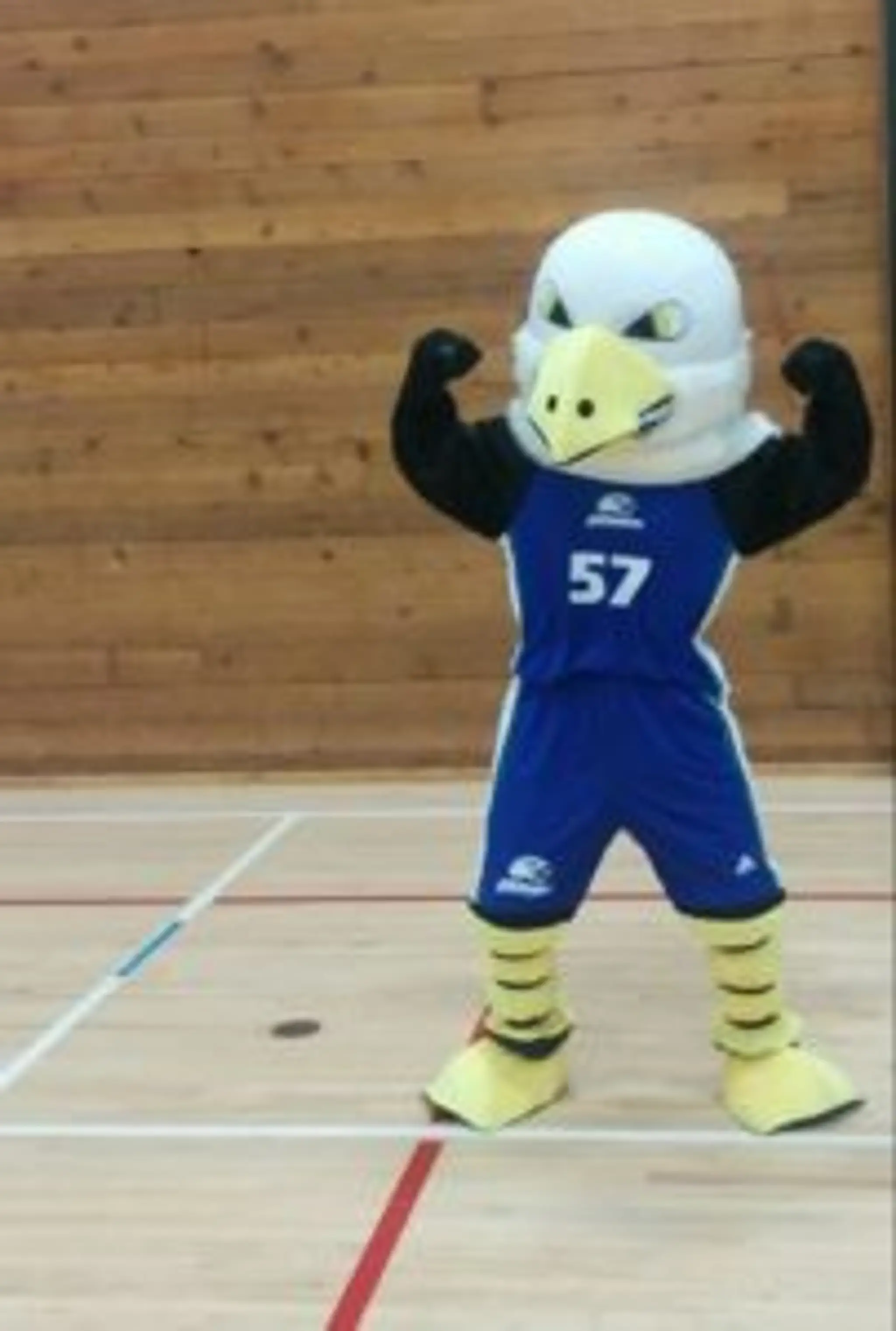 Parc de la Camaradire