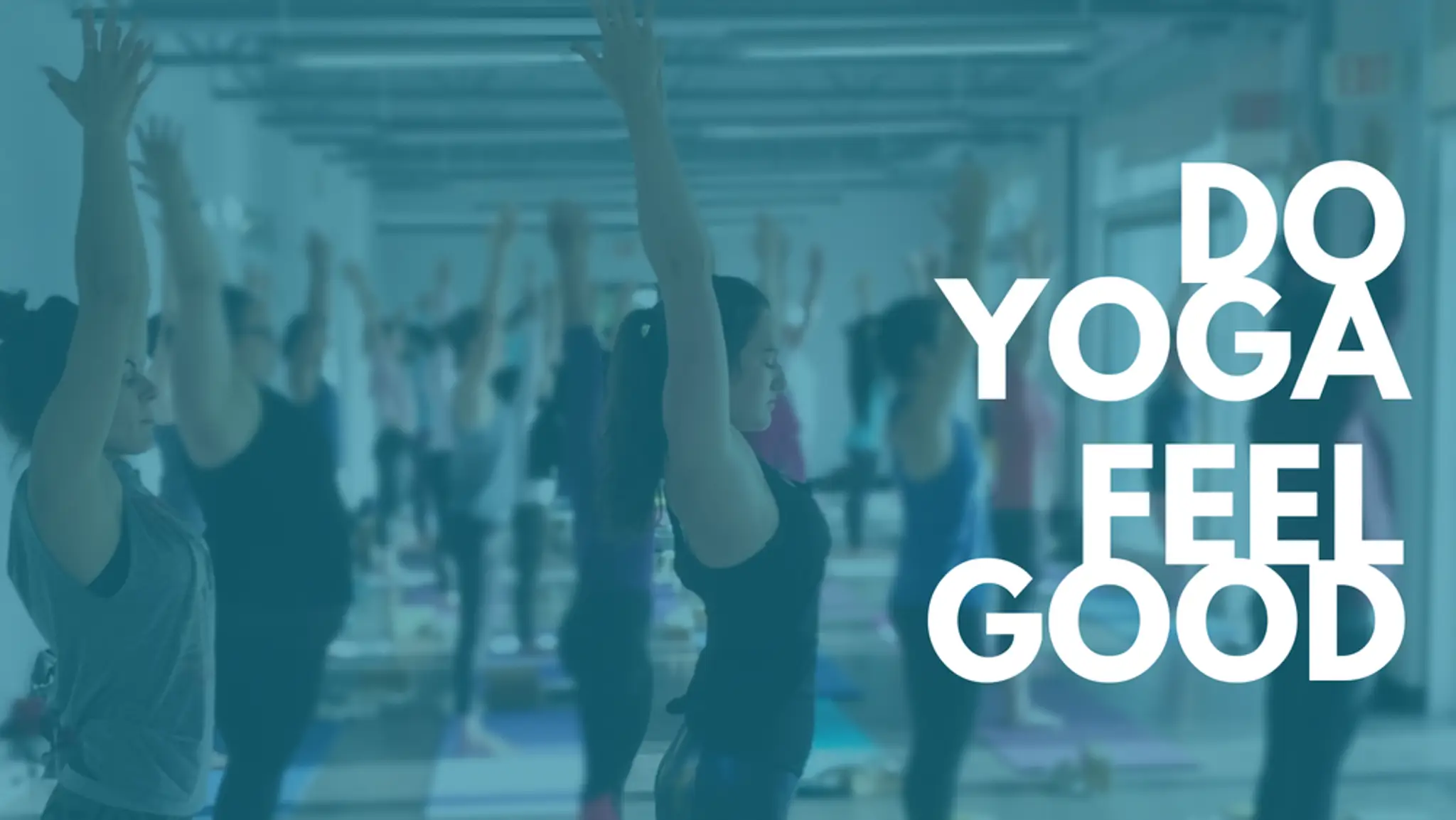 CIY | House of Yoga