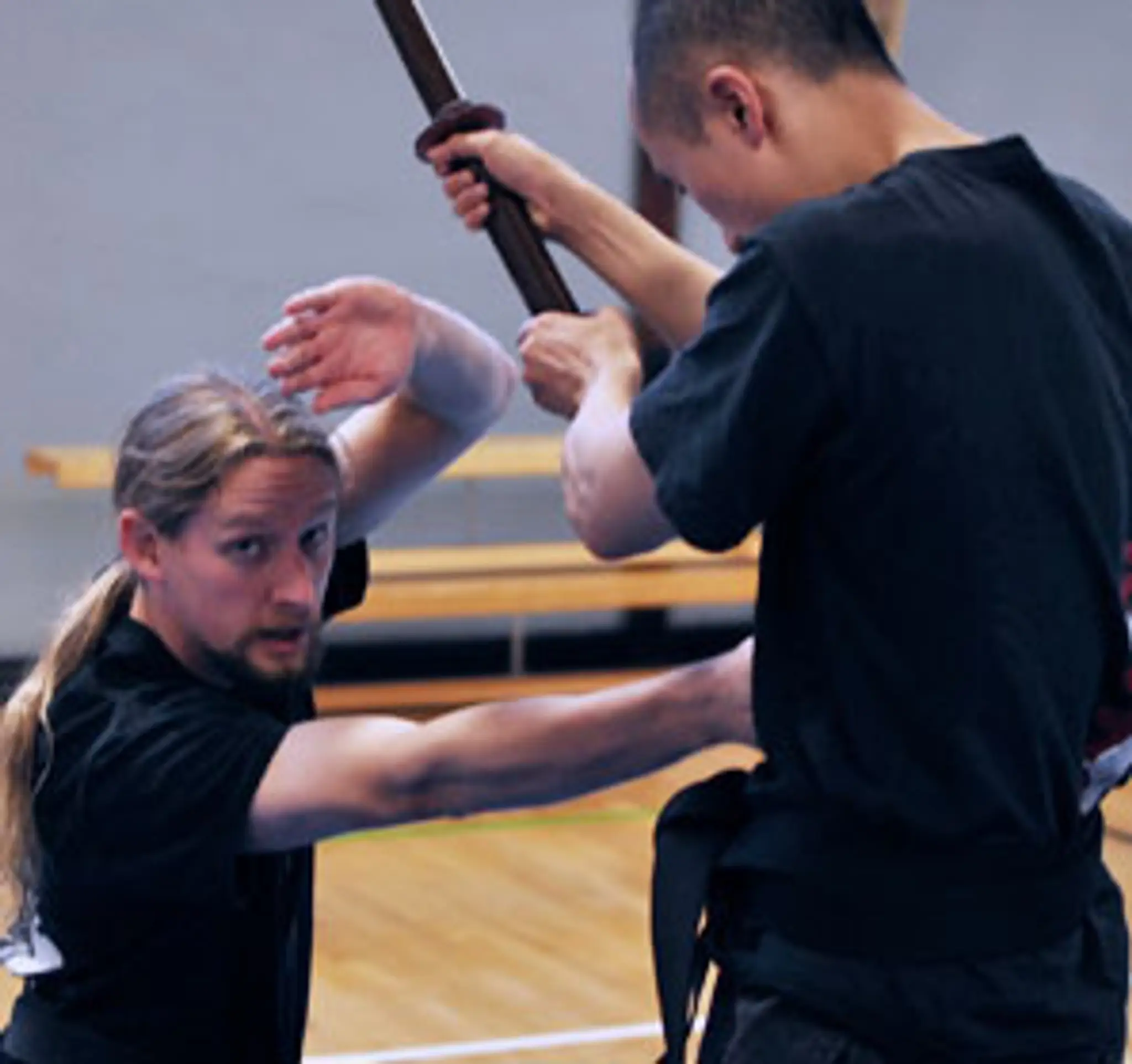 Bujinkan Jervis Dojo